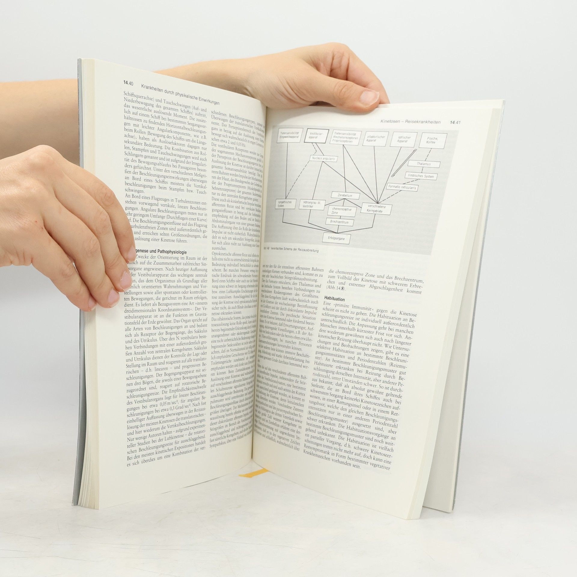 Autorenkollektiv Innere Medizin in Praxis und Klinik. Teil 11