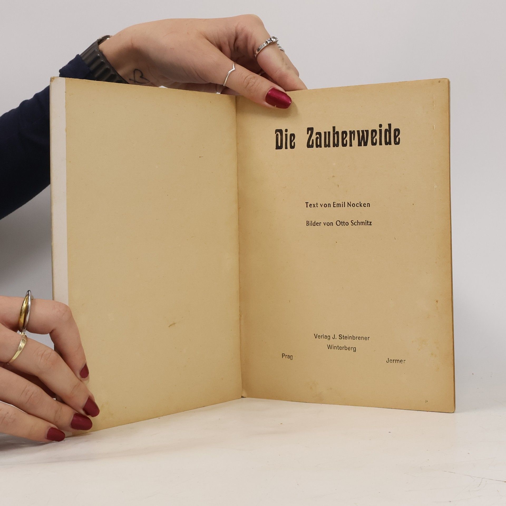 Emil Nocken Die Zauberweide
