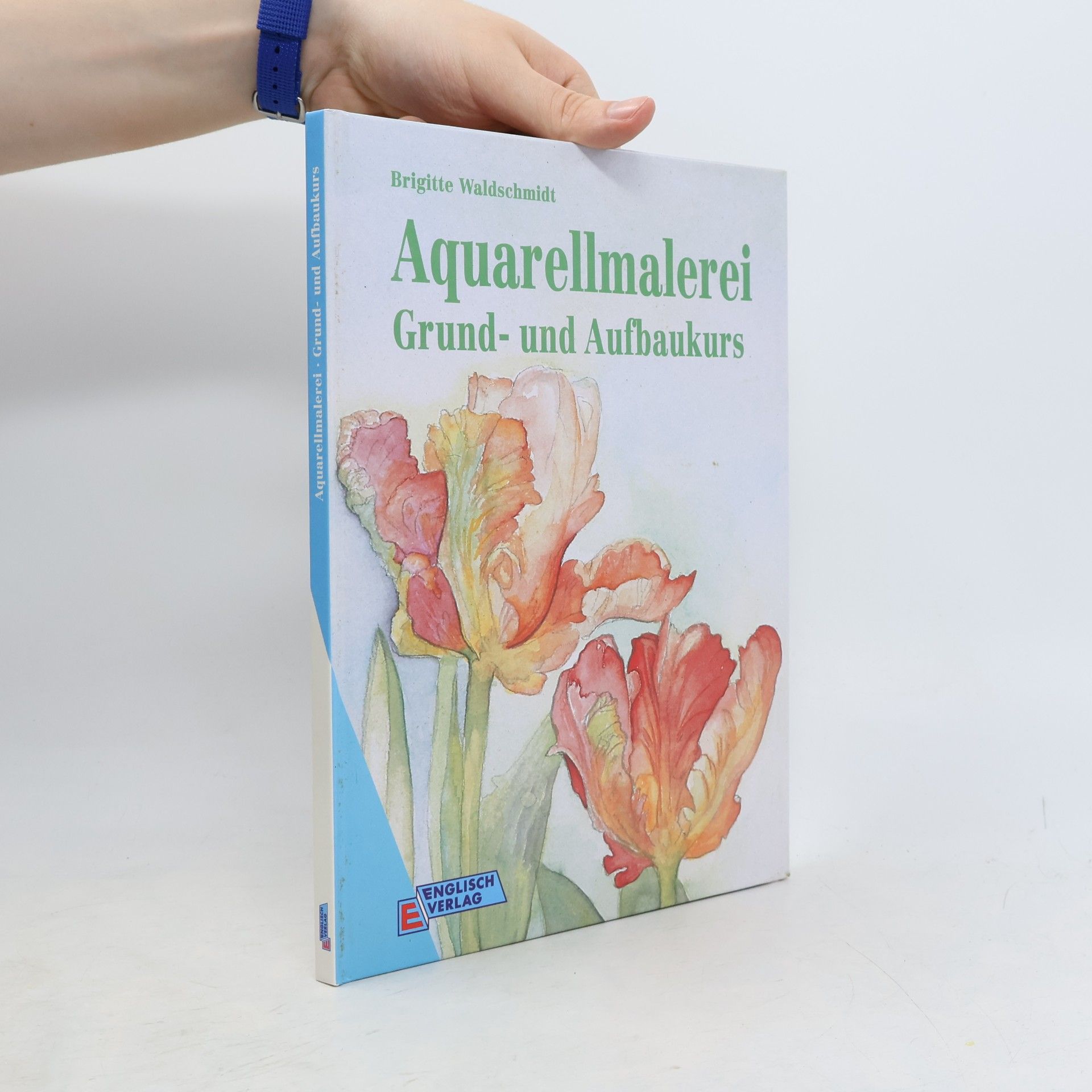 Aquarellmalerei. Grund- und Aufbaukurs
