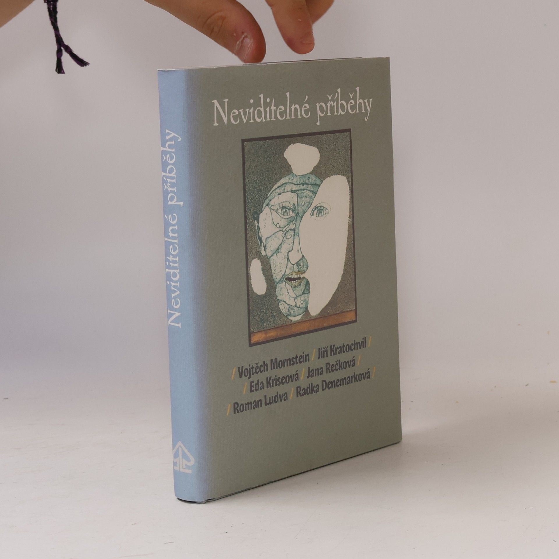 Kolektiv autorů Neviditelné příběhy