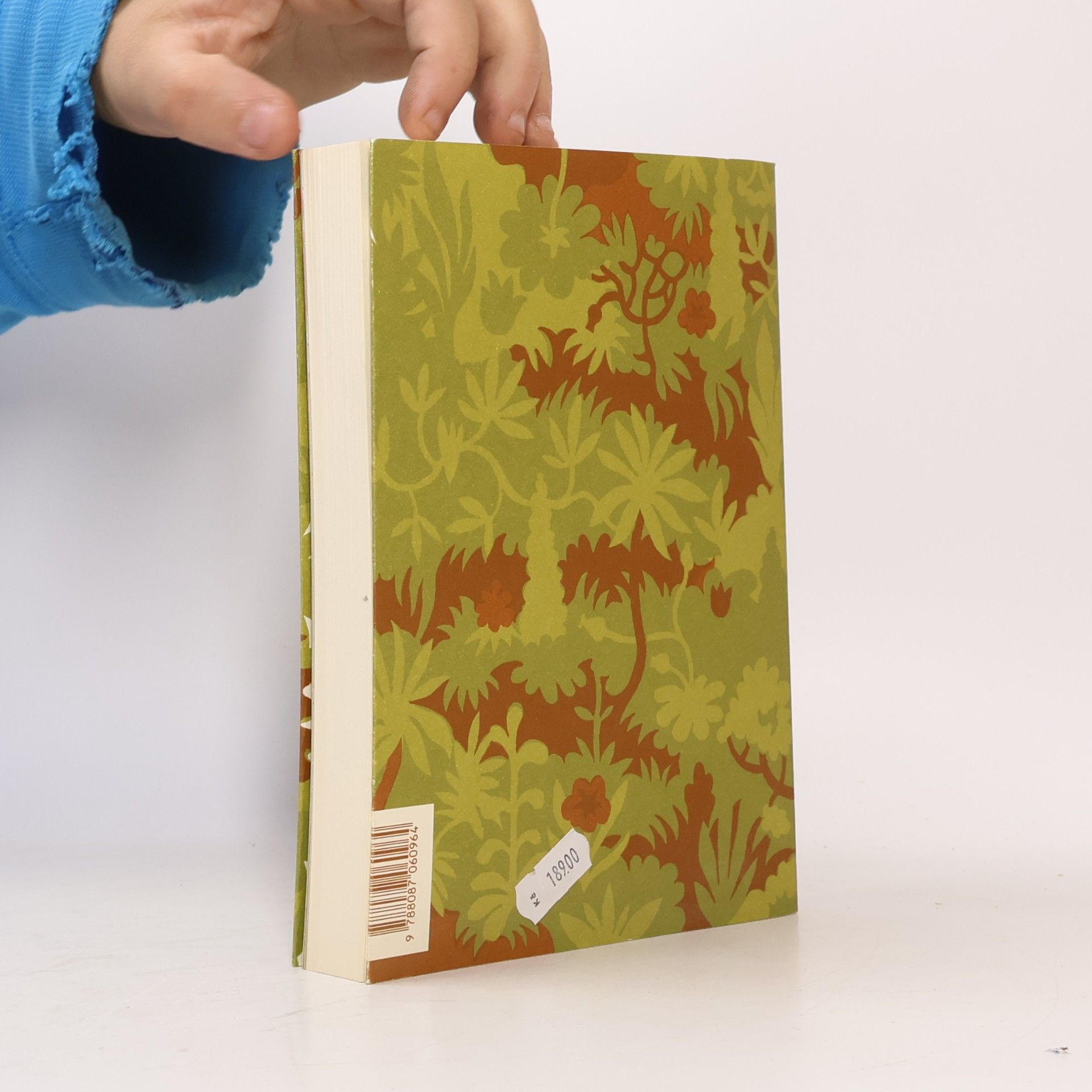 Etgar Keret Najednou někdo klepe na dveře