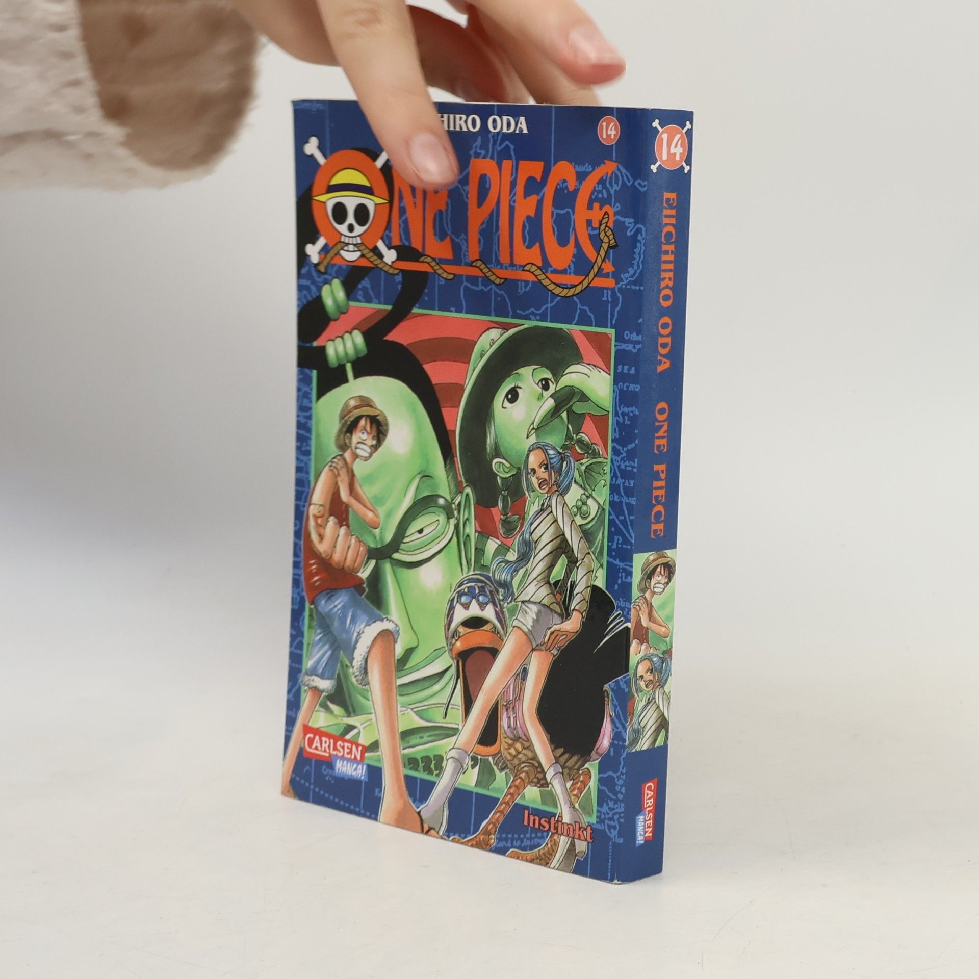 One piece 14