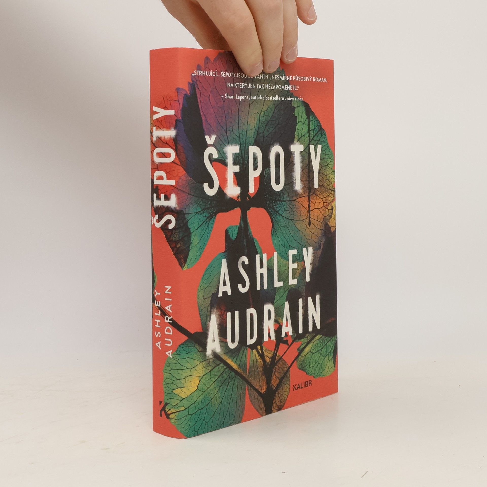 Ashley Audrain Šepoty