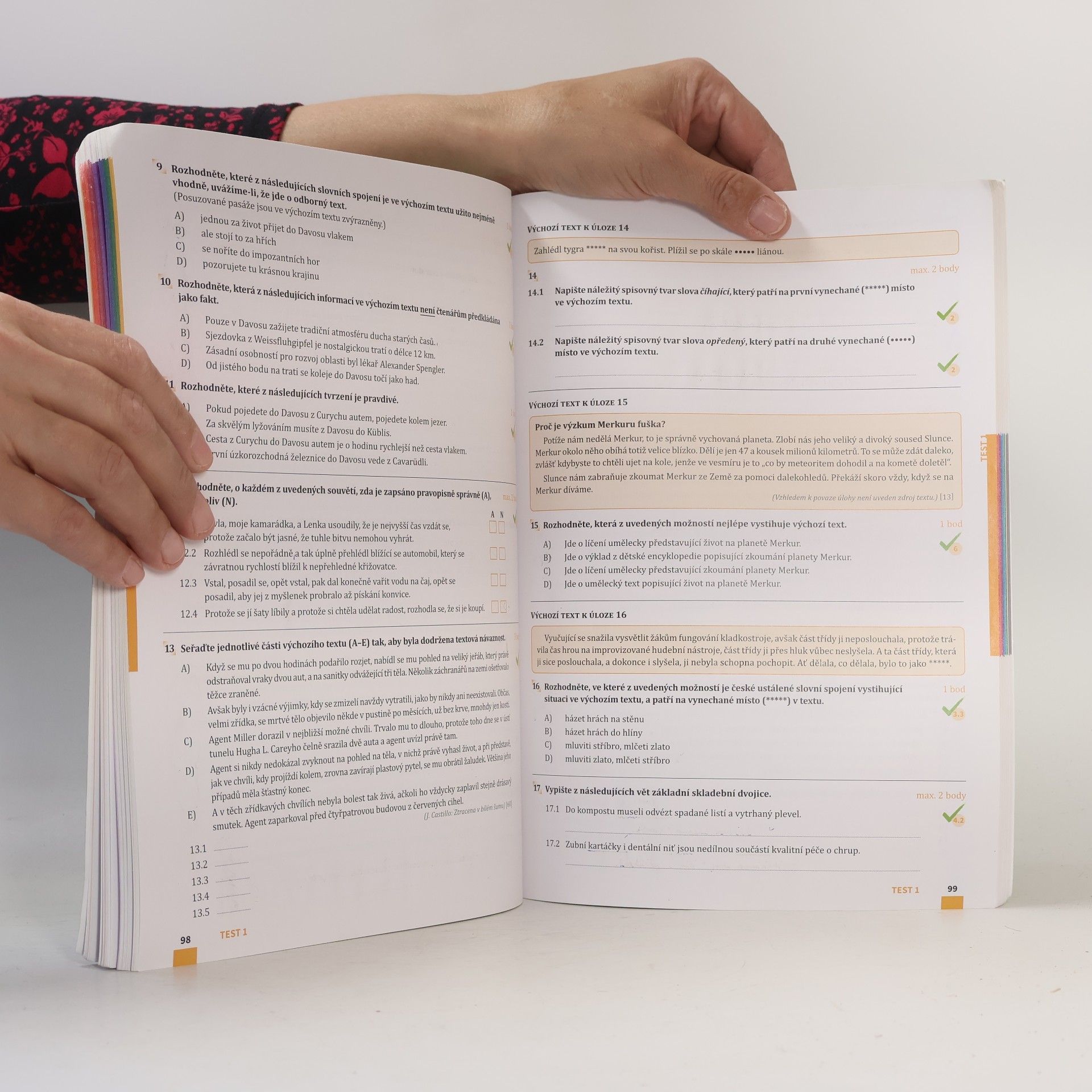 Kolektív autorov Přijímačky 9. Český jazyk a literatura