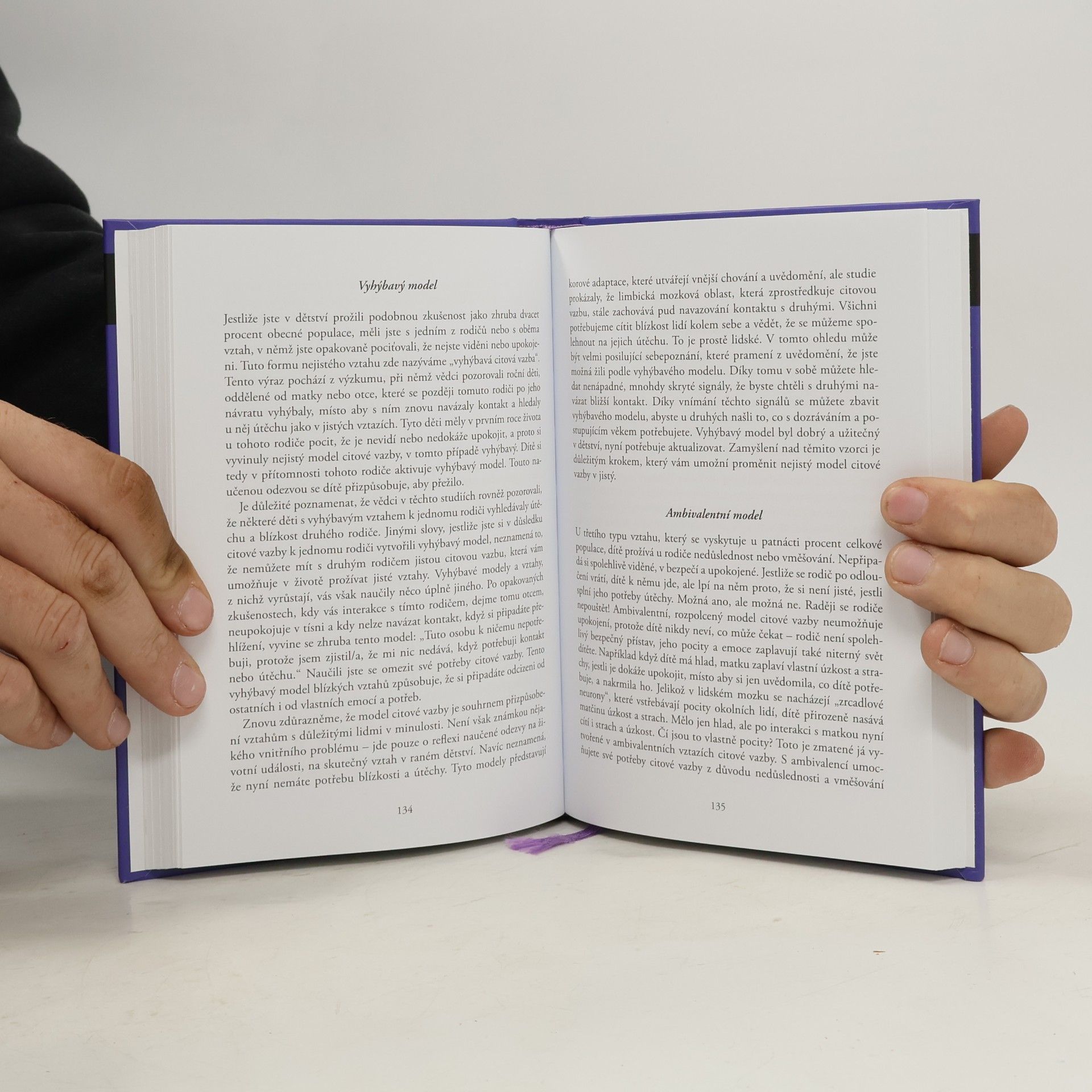 Daniel J. Siegel Rozbouřený mozek : dospívání, teenageři a jejich výchova