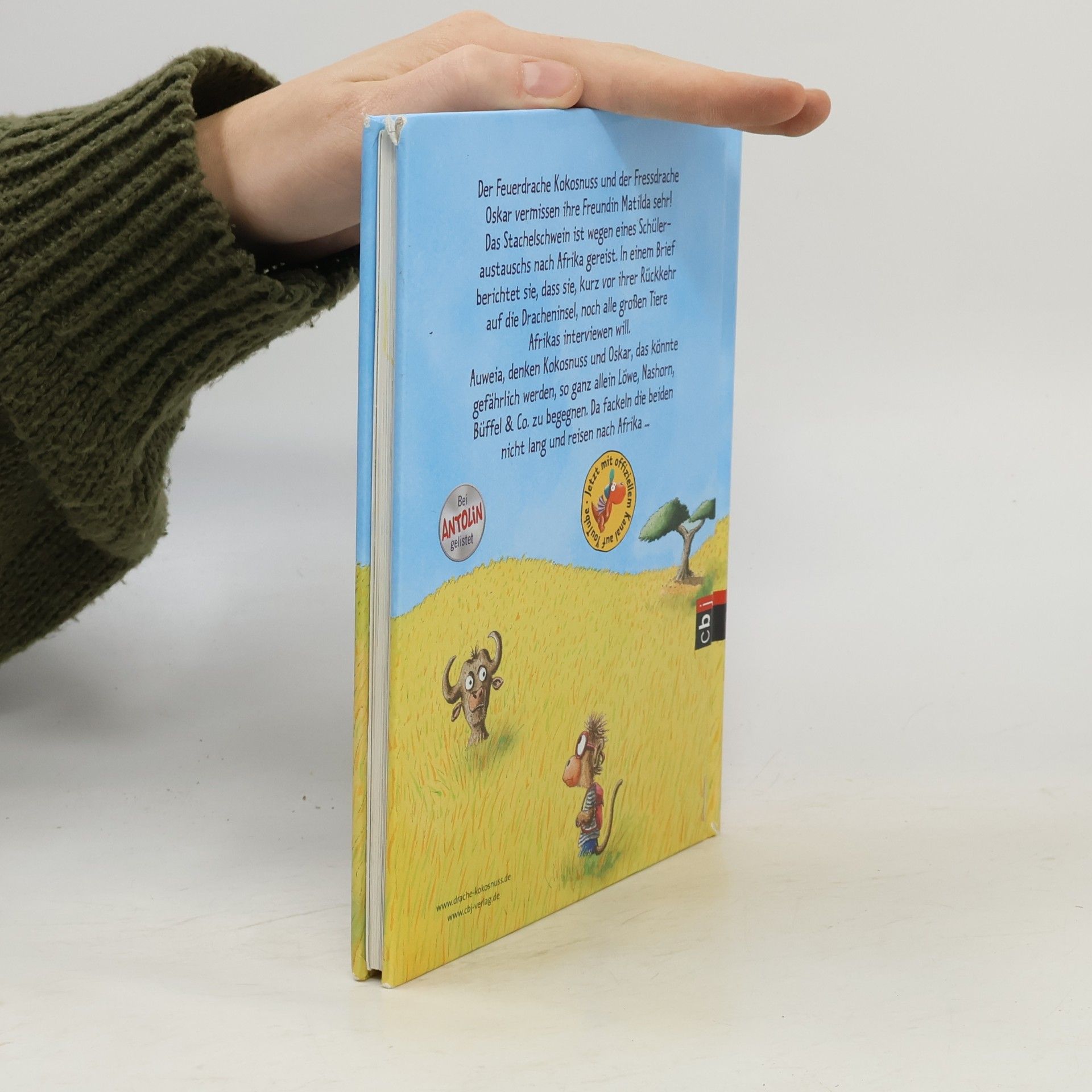 Ingo Seigner Der kleine Drache Kokosnuss bei den wilden Tieren