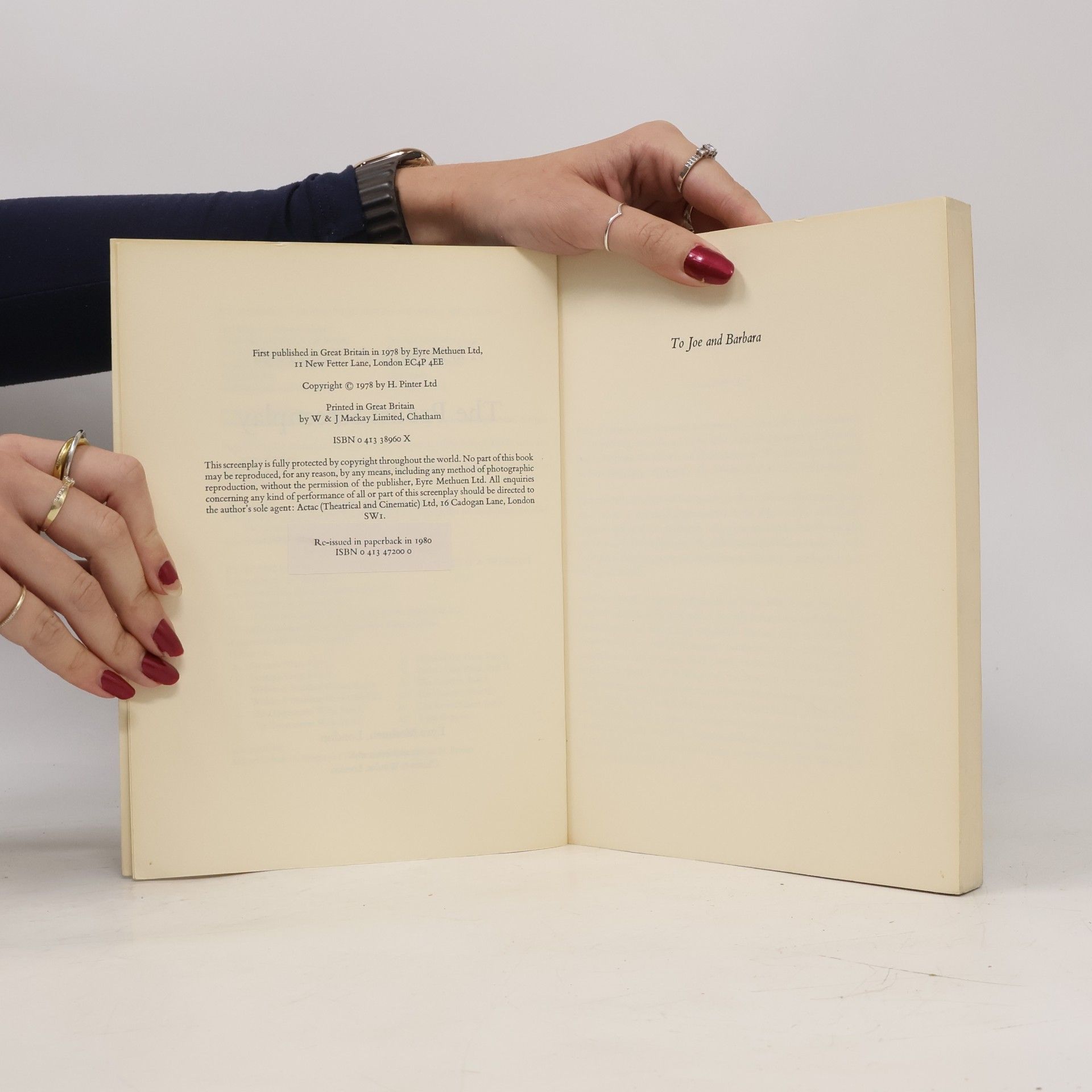 Harold Pinter The Proust Screenplay