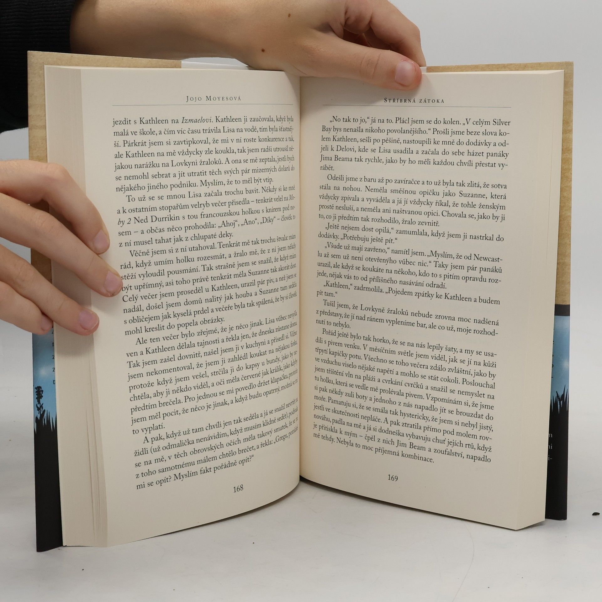 Jojo Moyes Stříbrná zátoka