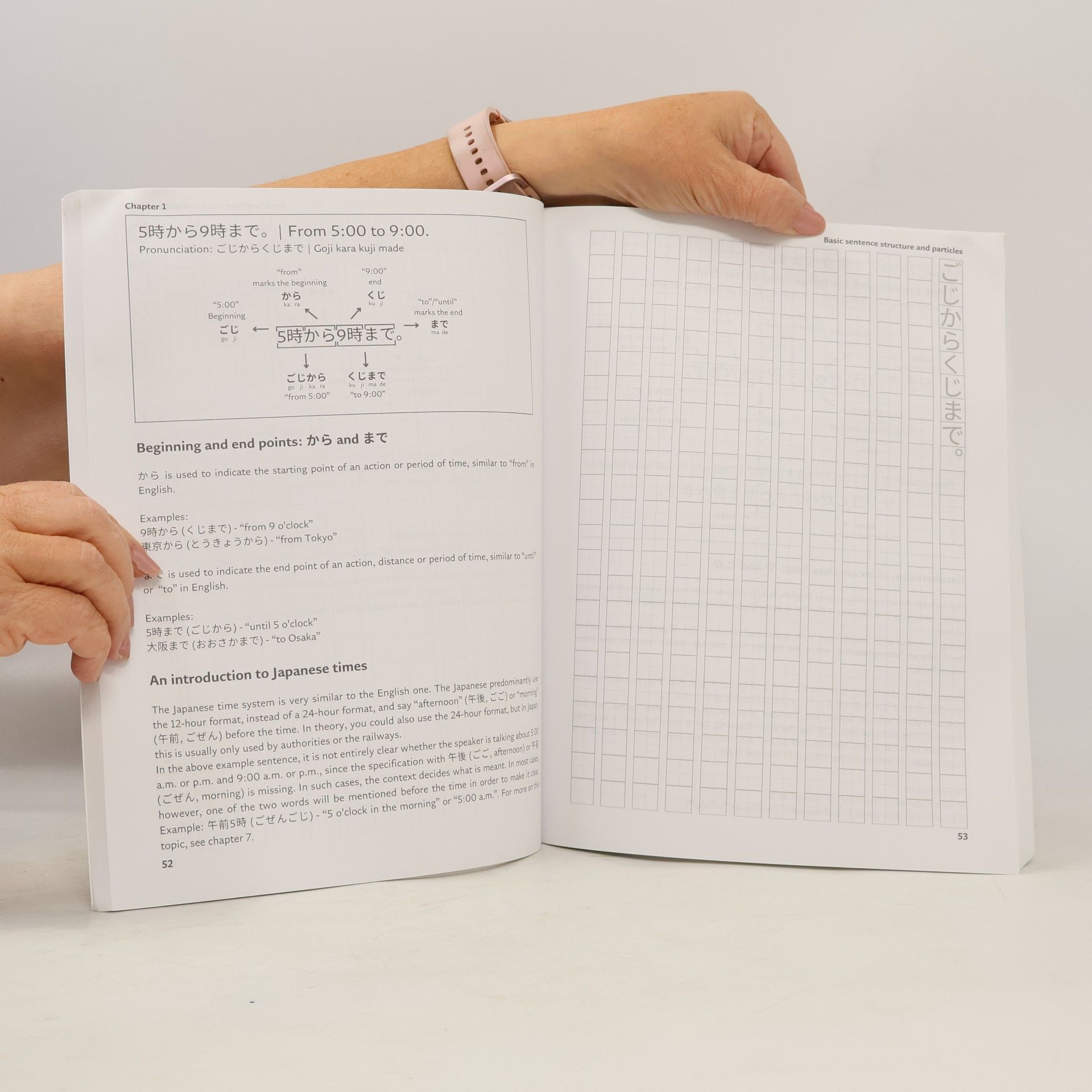 Hikaru Tamaki Your First 100 Sentences in Japanese