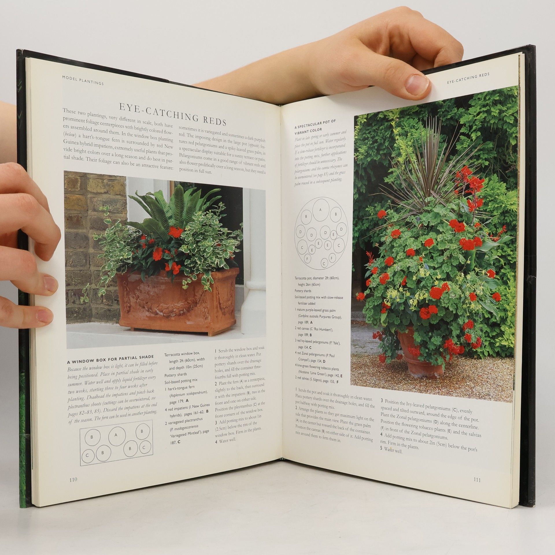 David Joyce The Complete Container Garden