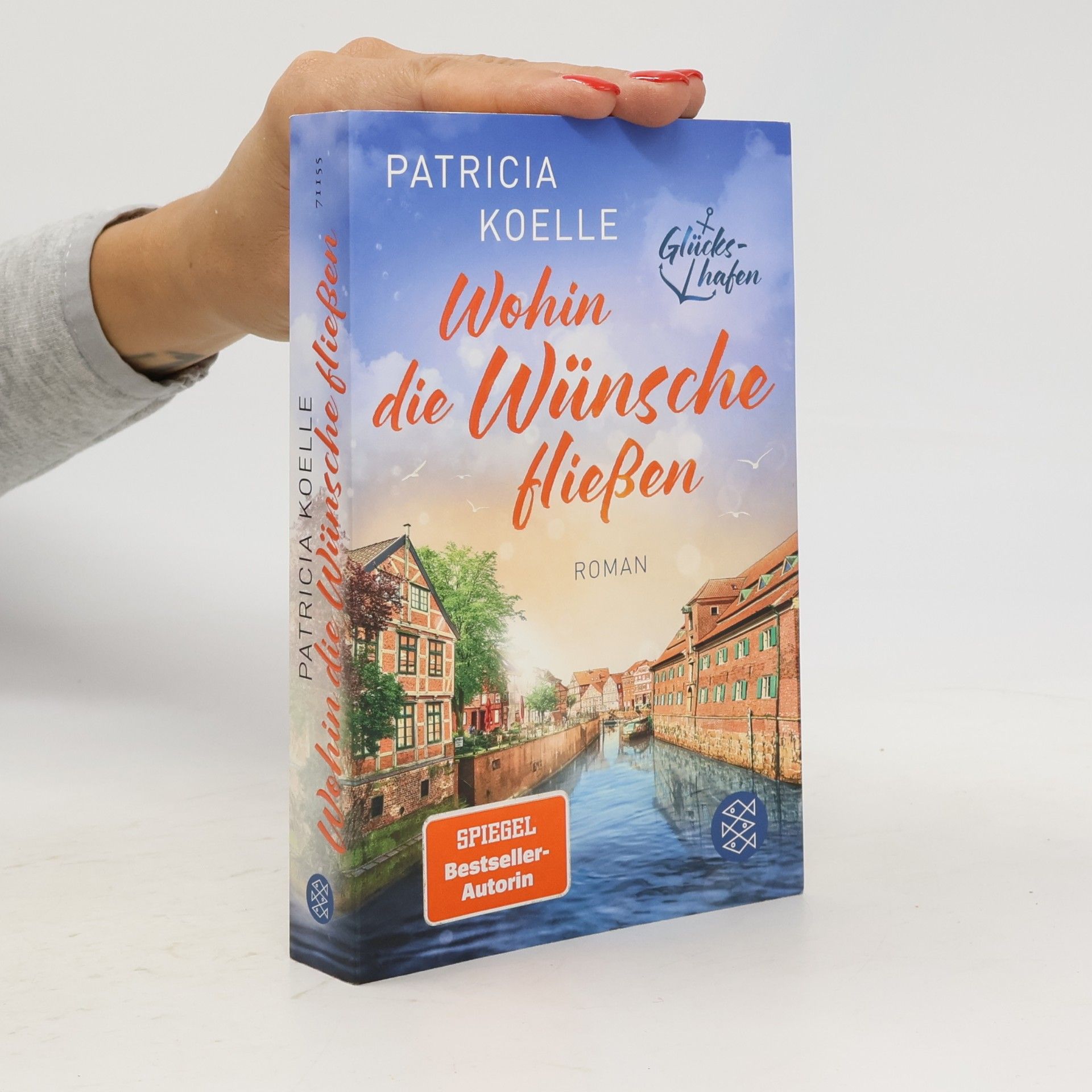 Patricia Koelle Wohin die Wünsche fließen