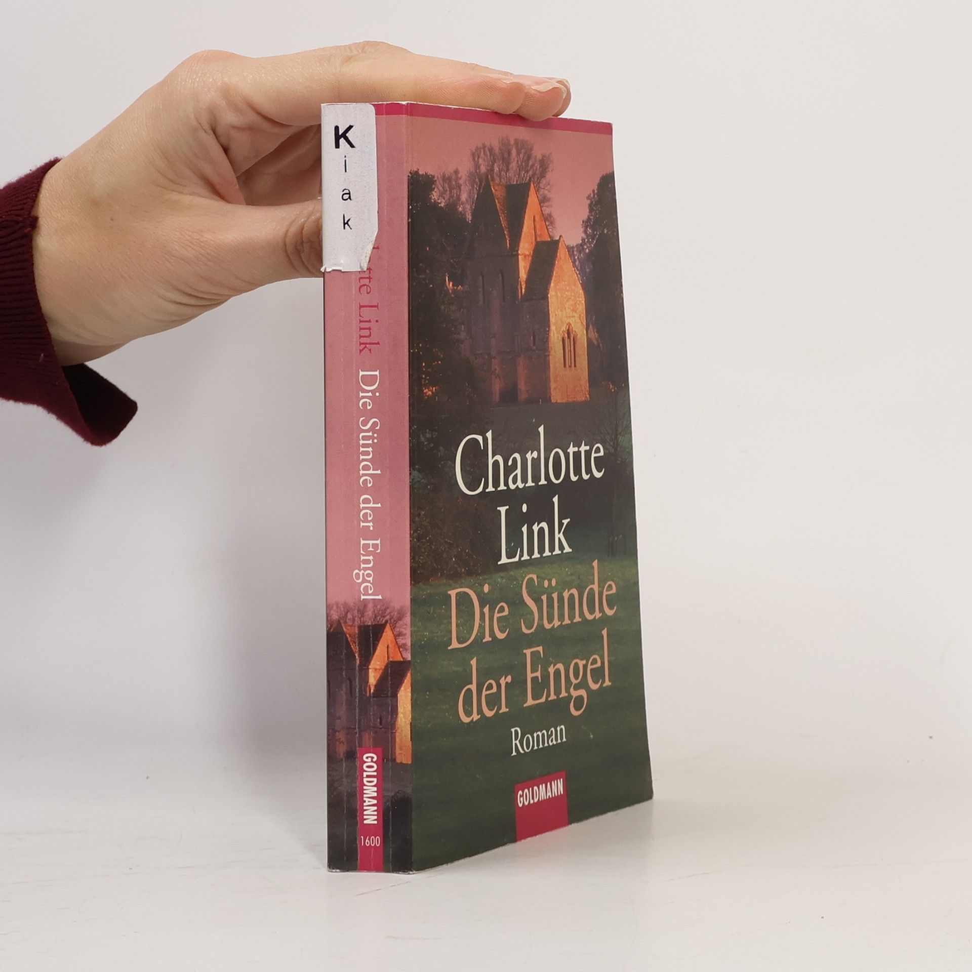 Charlotte Link Die Sünde der Engel