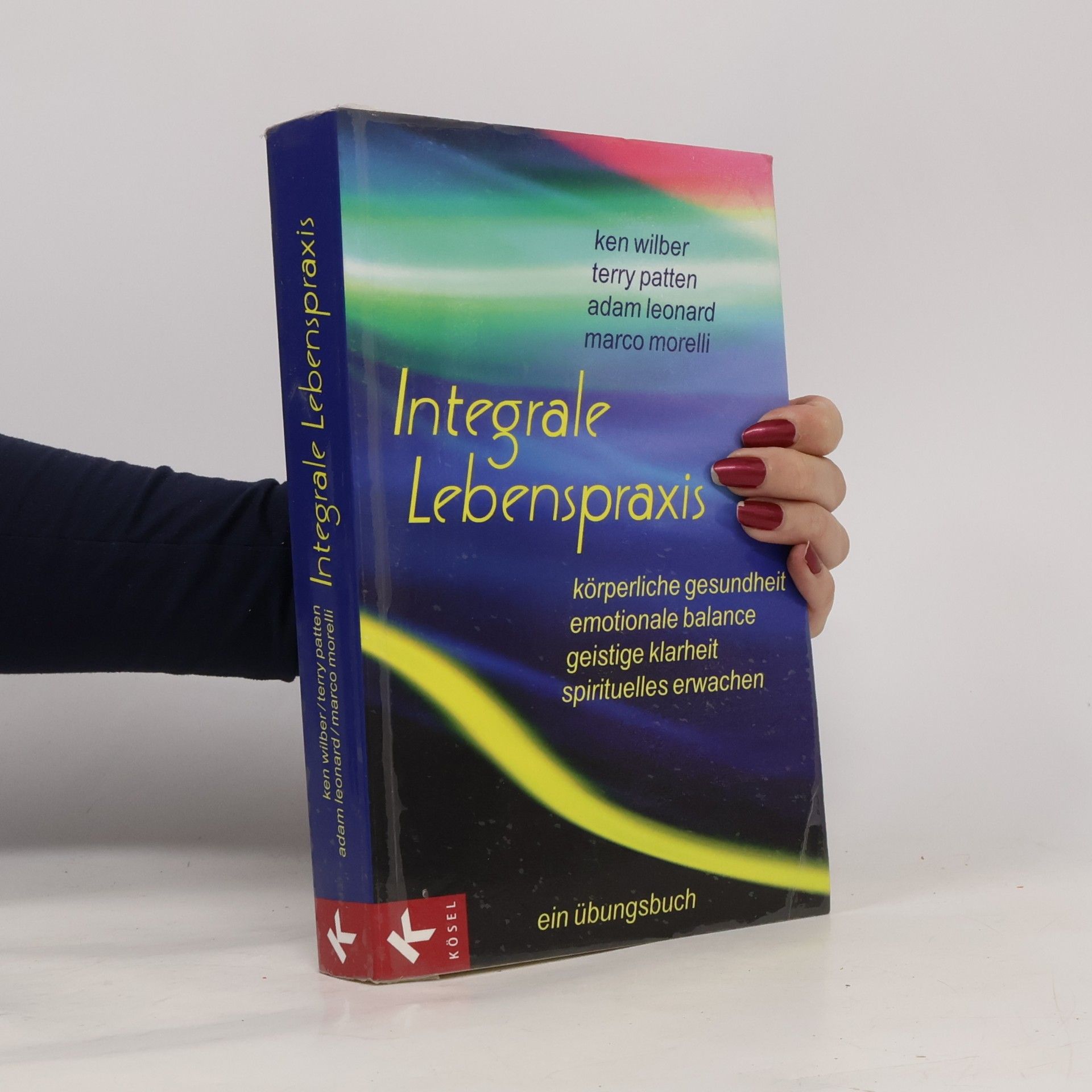 Ken Wilber Integrale Lebenspraxis