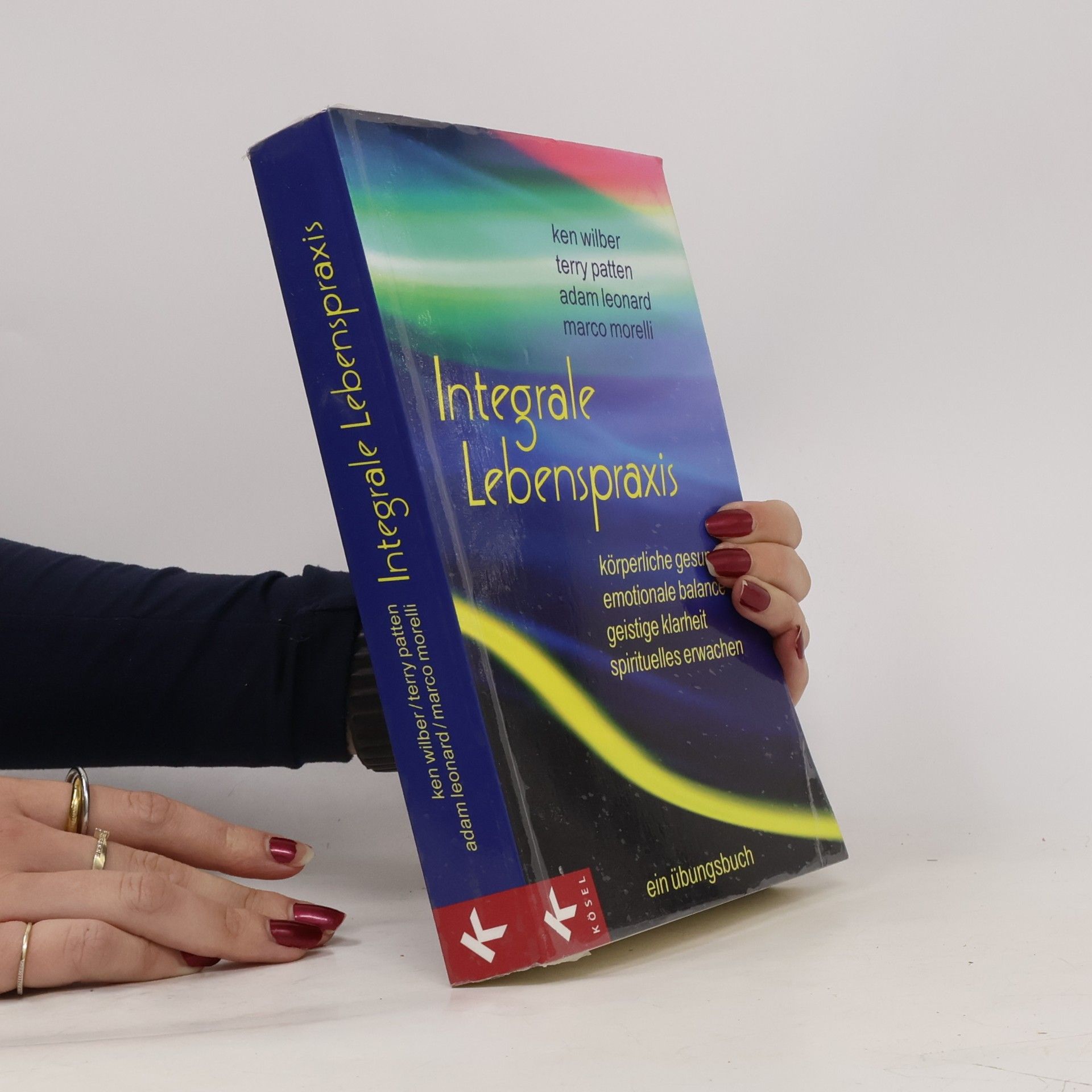 Ken Wilber Integrale Lebenspraxis