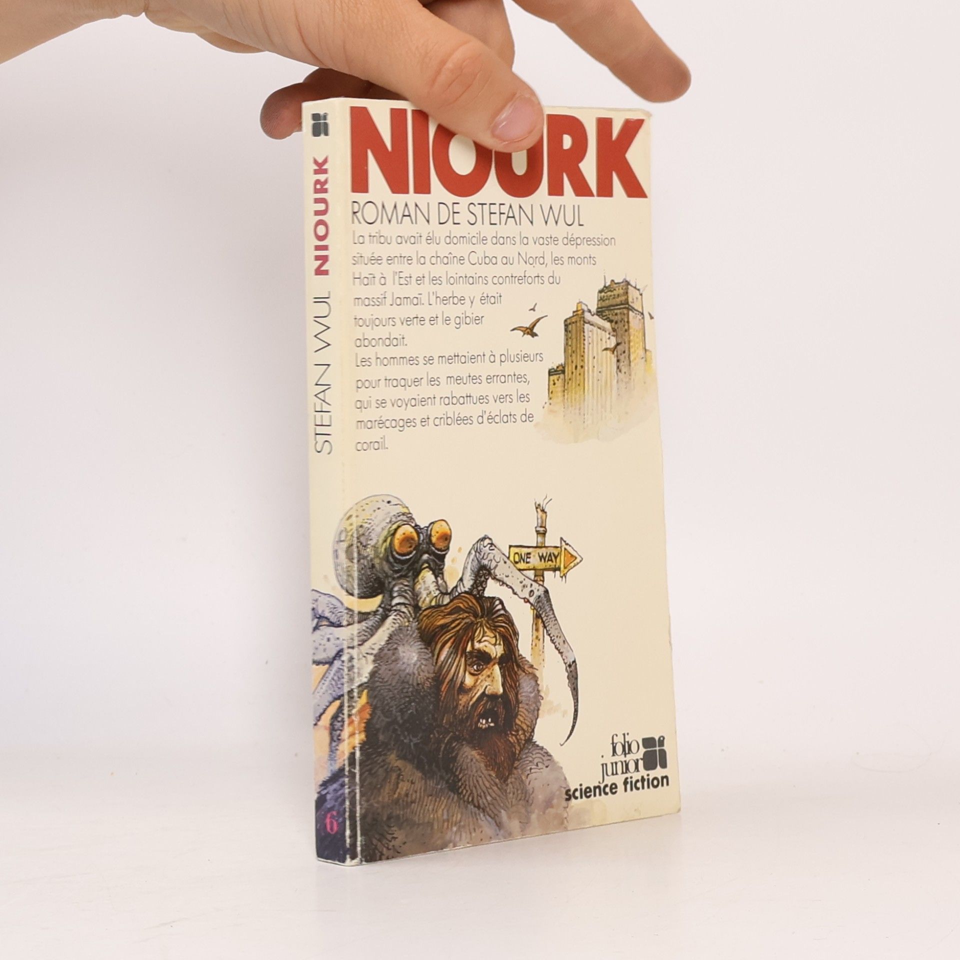 Niourk roman