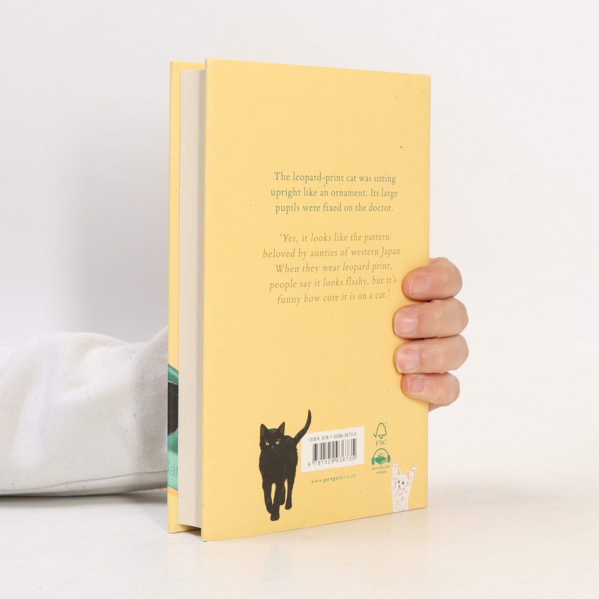 Šó Išida We'll Prescribe You Another Cat
