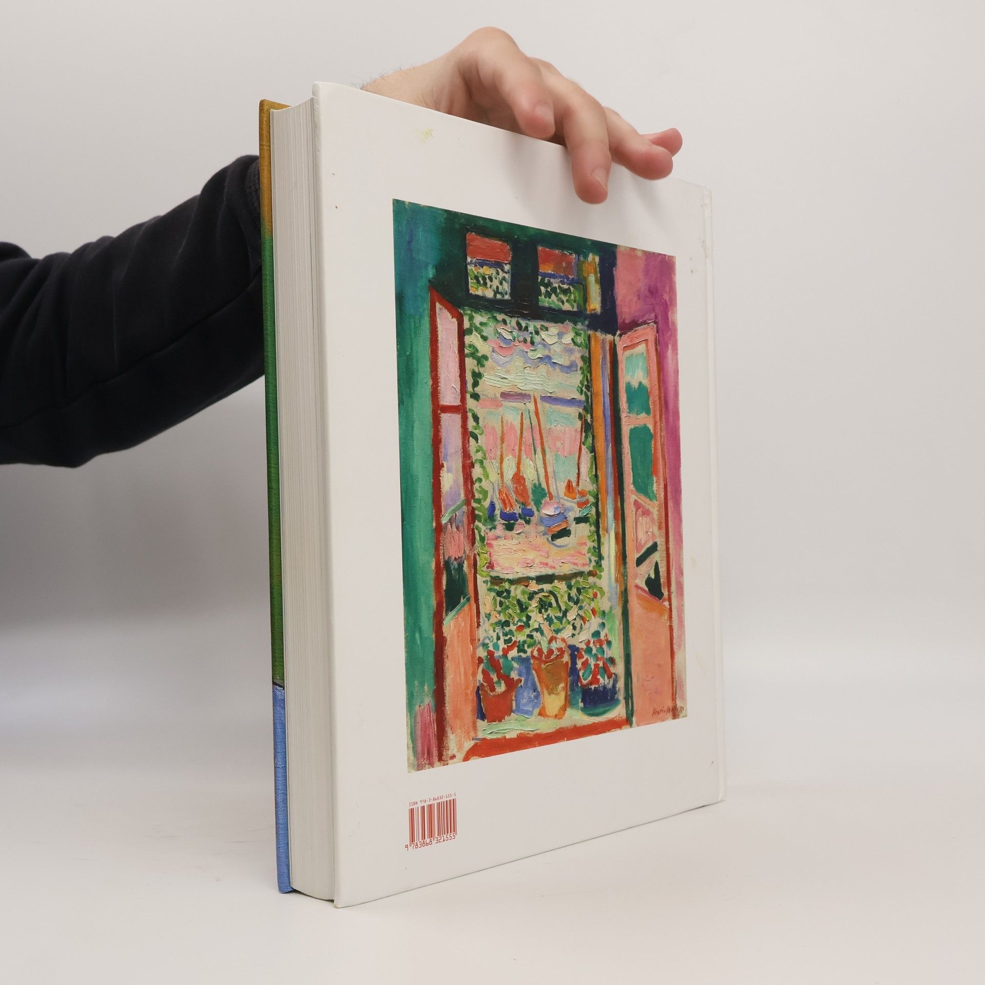 Cécile Debray Matisse und die Fauves