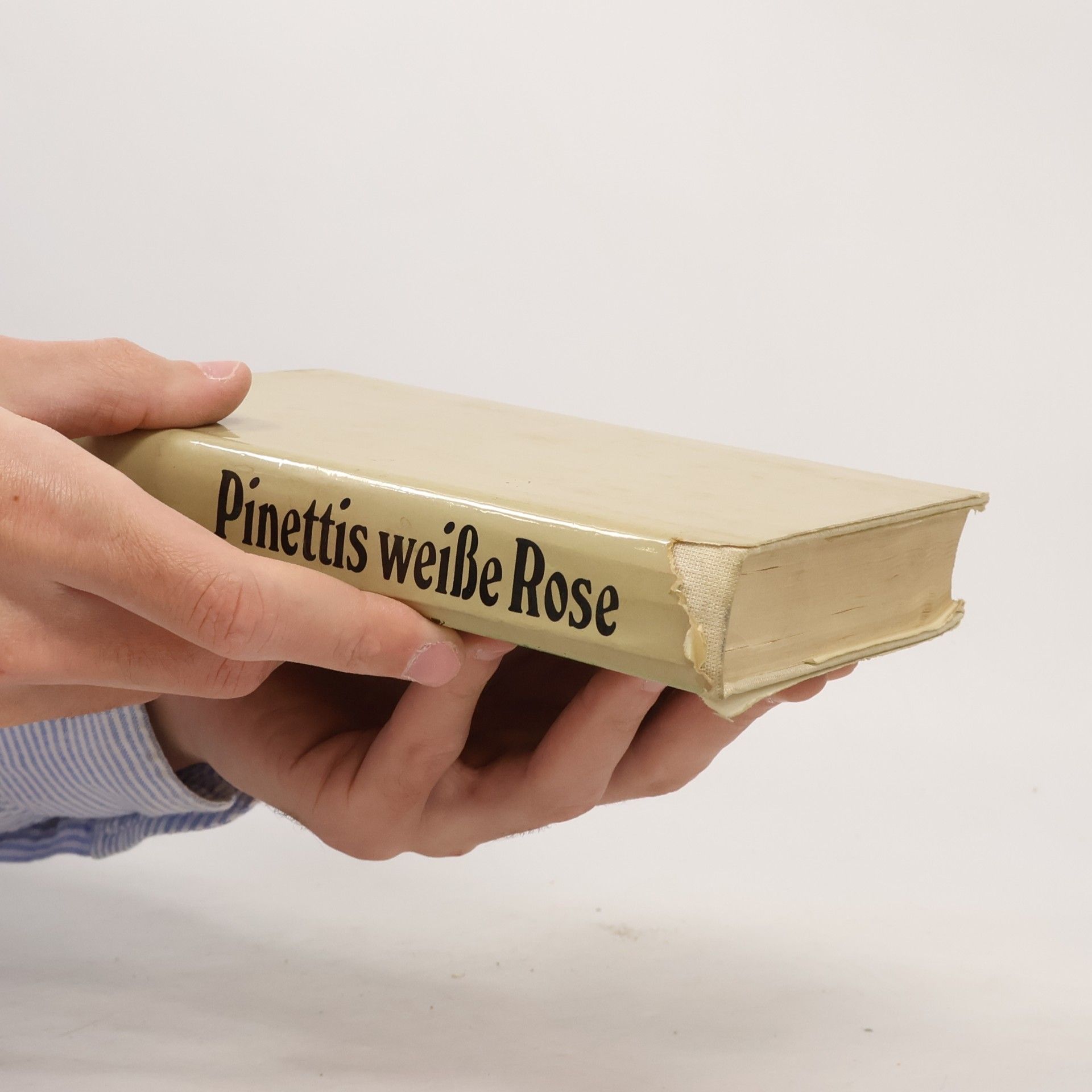 Julian Tuwim Pinettis weiße Rose