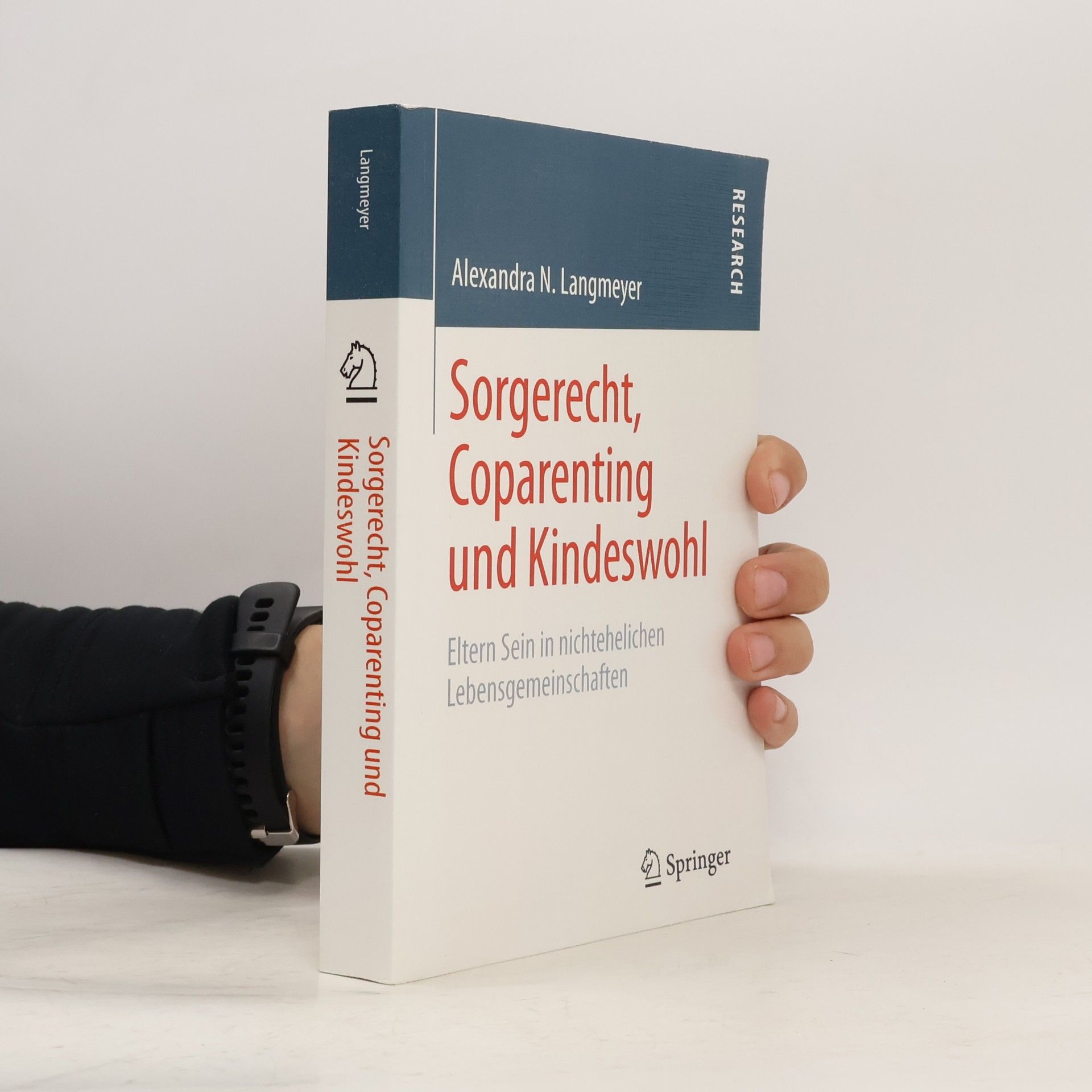 Alexandra N. N. Langmeyer Sorgerecht, Coparenting und Kindeswohl