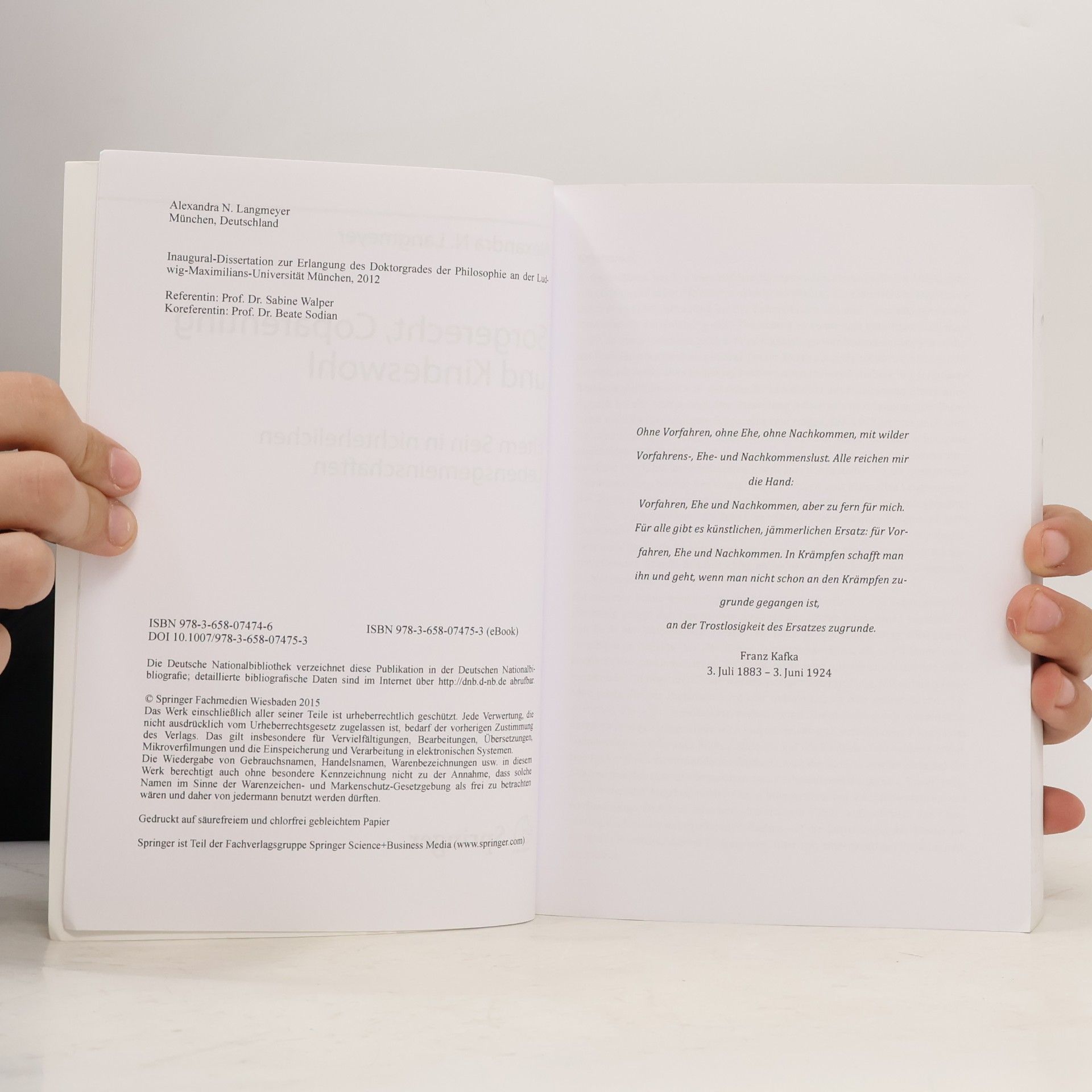 Alexandra N. N. Langmeyer Sorgerecht, Coparenting und Kindeswohl