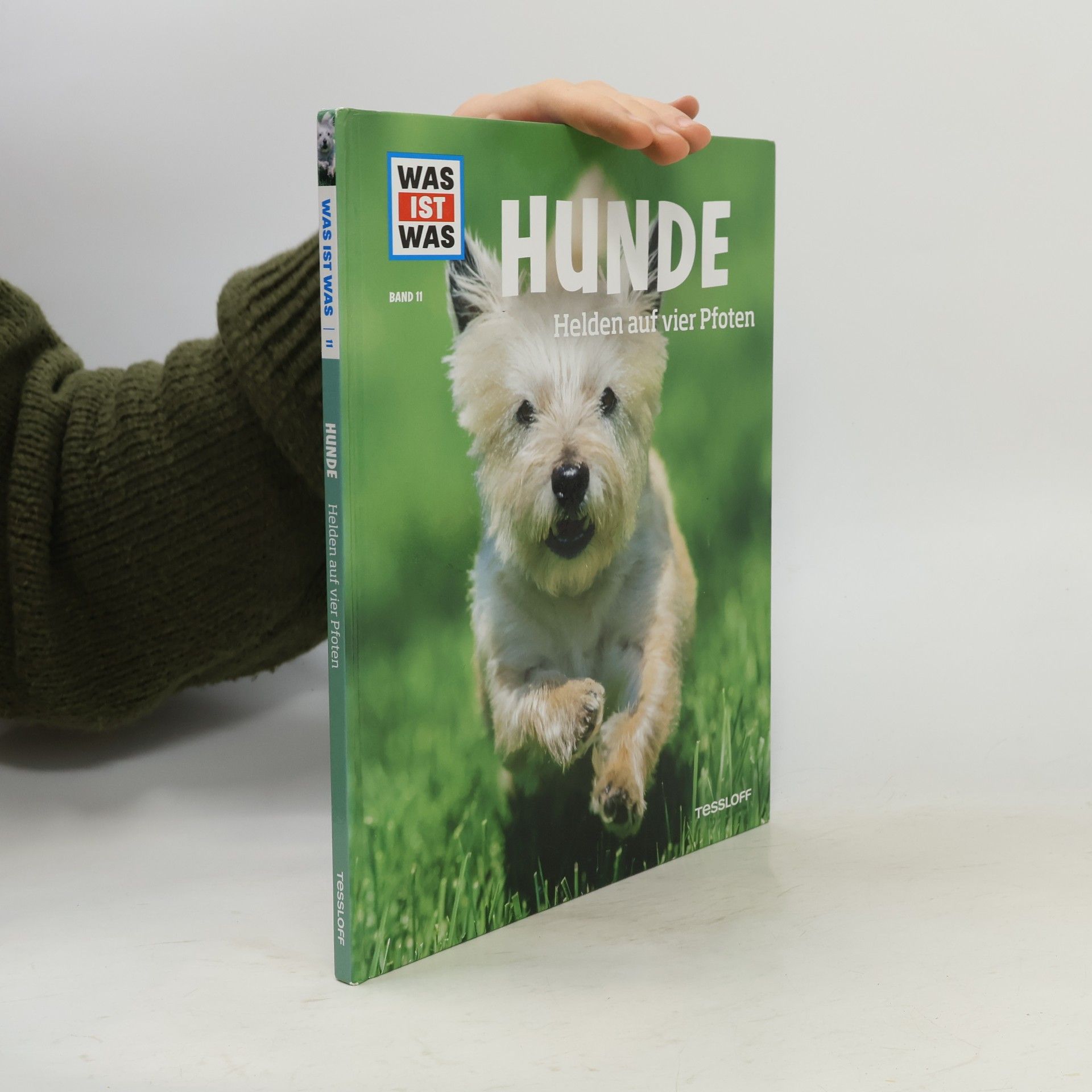 Autorenkollektiv Hunde. Helden auf vier Pfoten