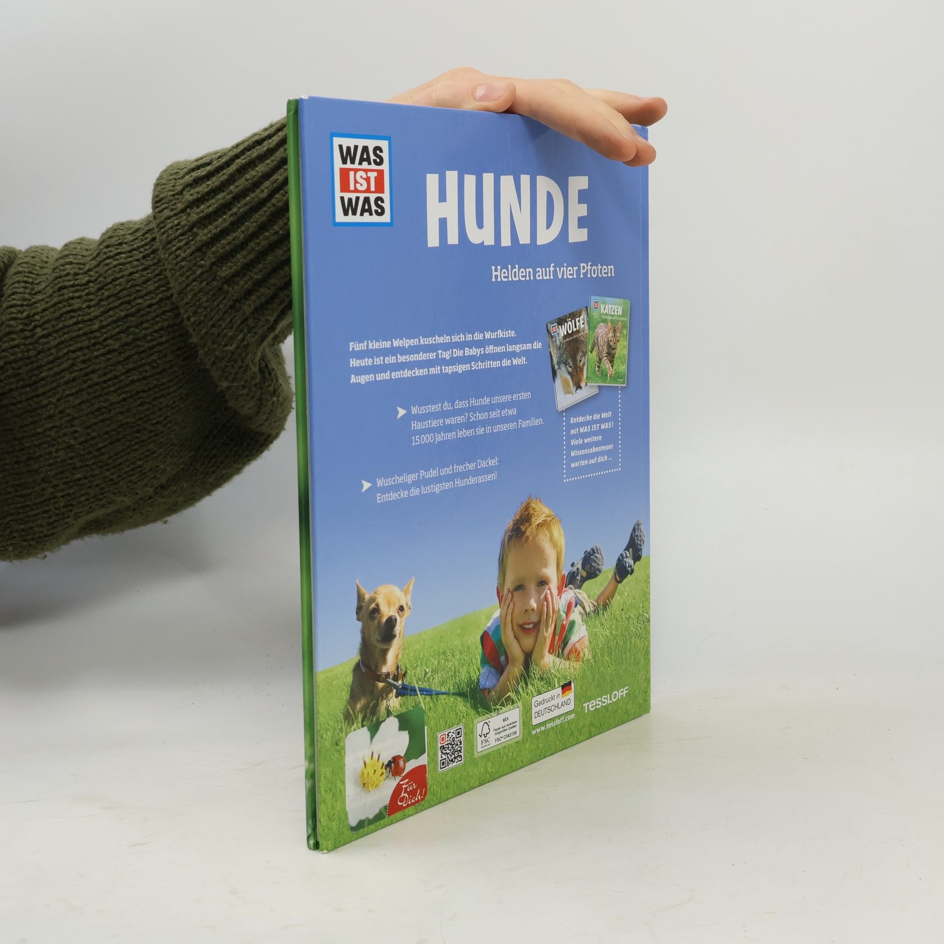 Autorenkollektiv Hunde. Helden auf vier Pfoten