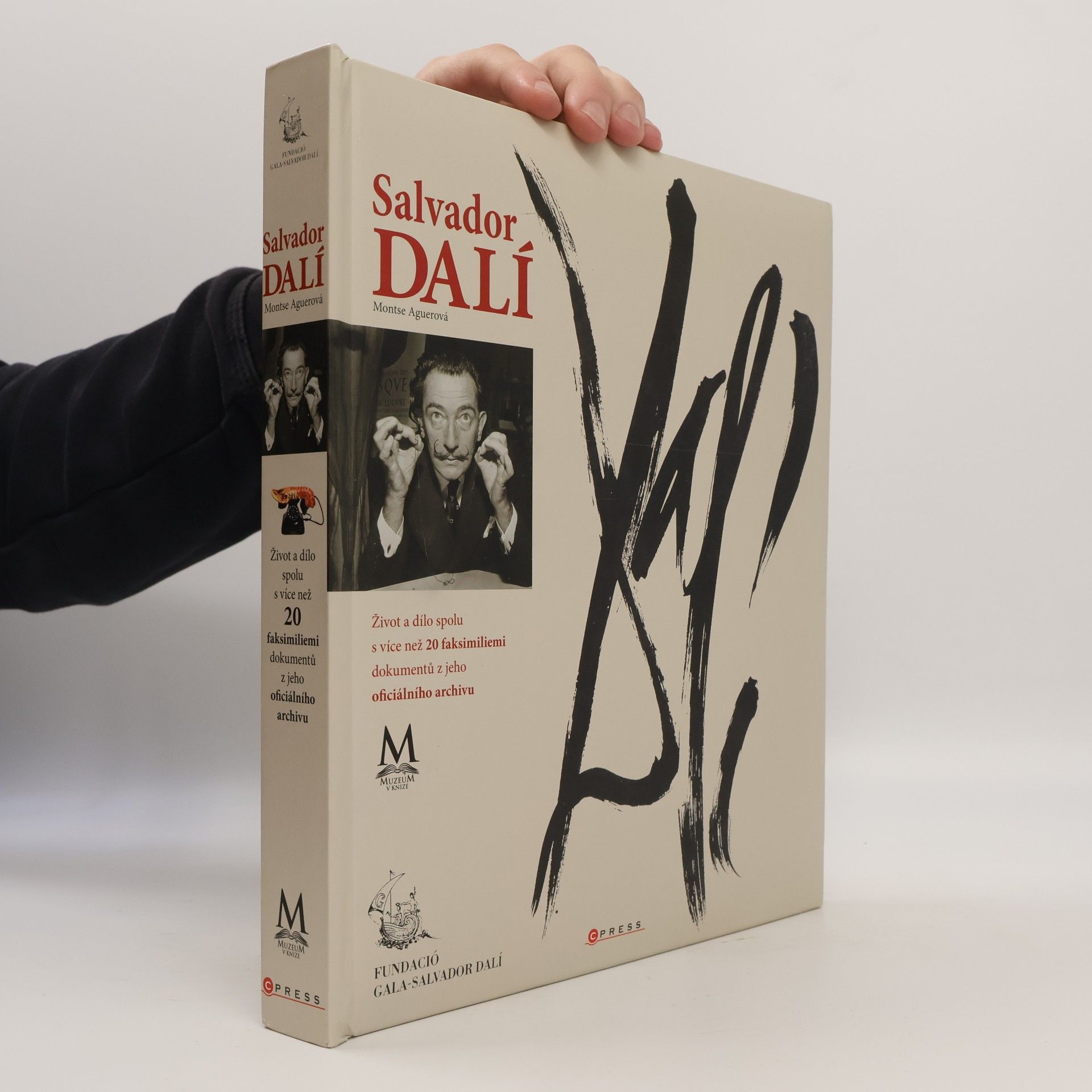 Montse Aguer Salvador Dalí - Barevný příběh Salvadora Dalího
