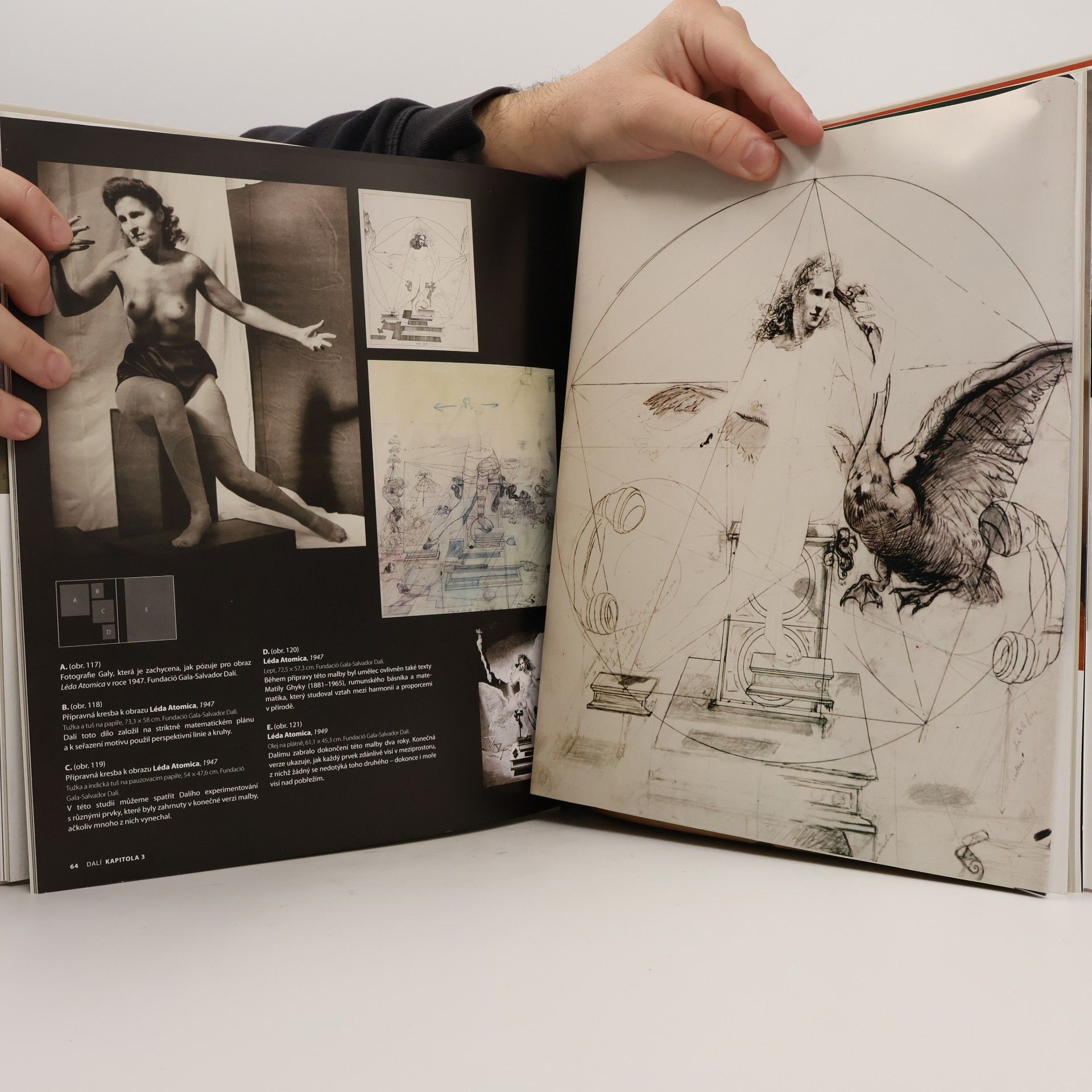 Montse Aguer Salvador Dalí - Barevný příběh Salvadora Dalího