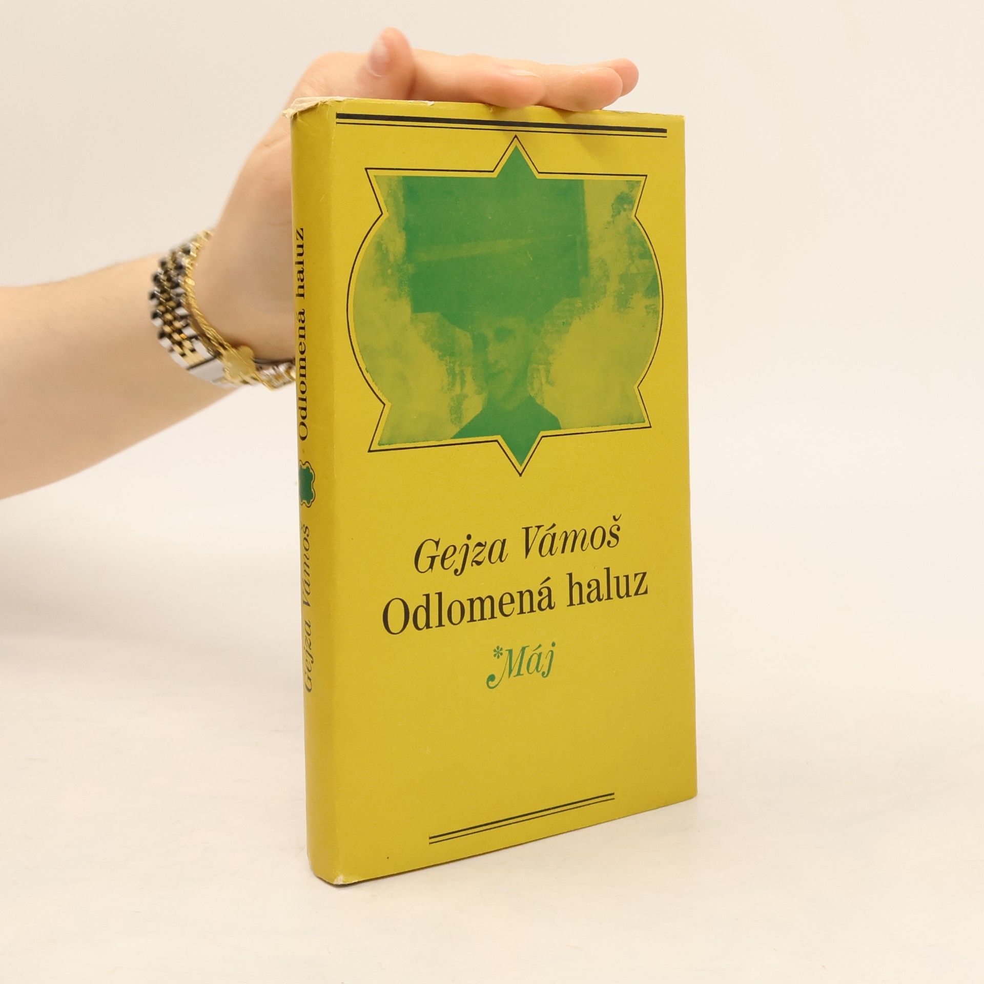 Odlomená haluz