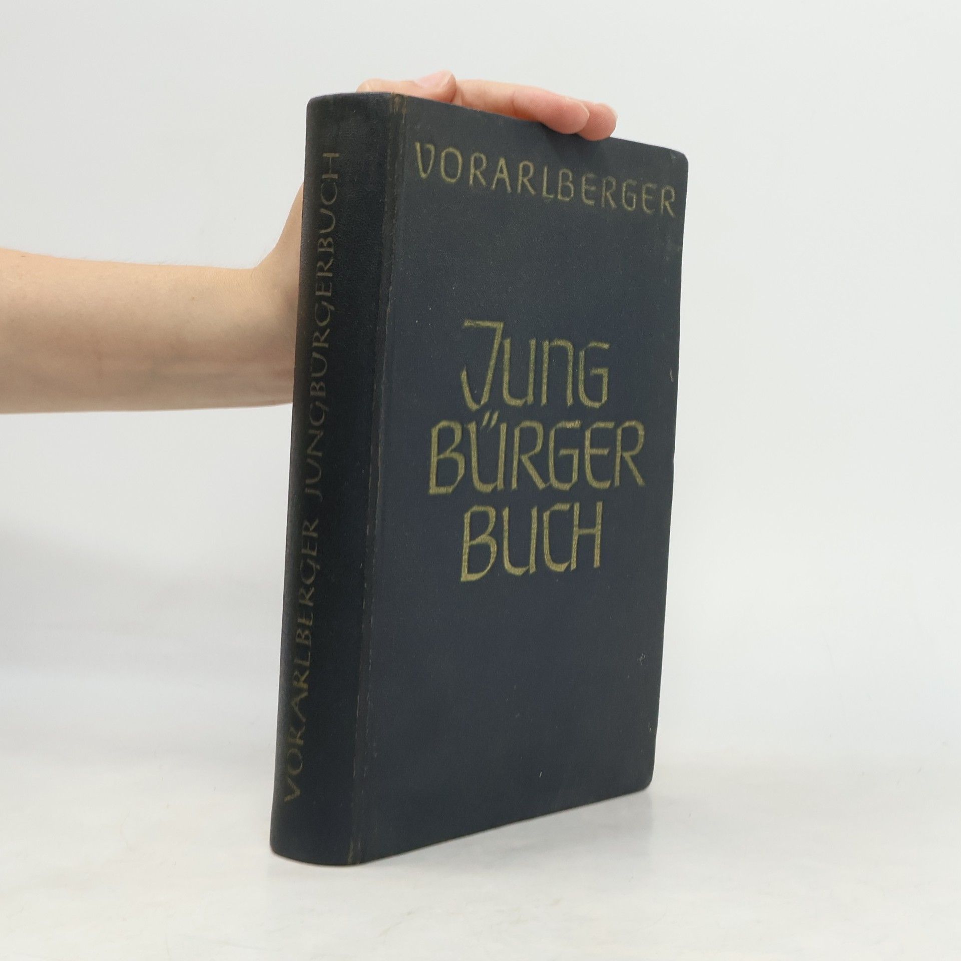 kolektiv Vorarlberger Jungbürgerbuch