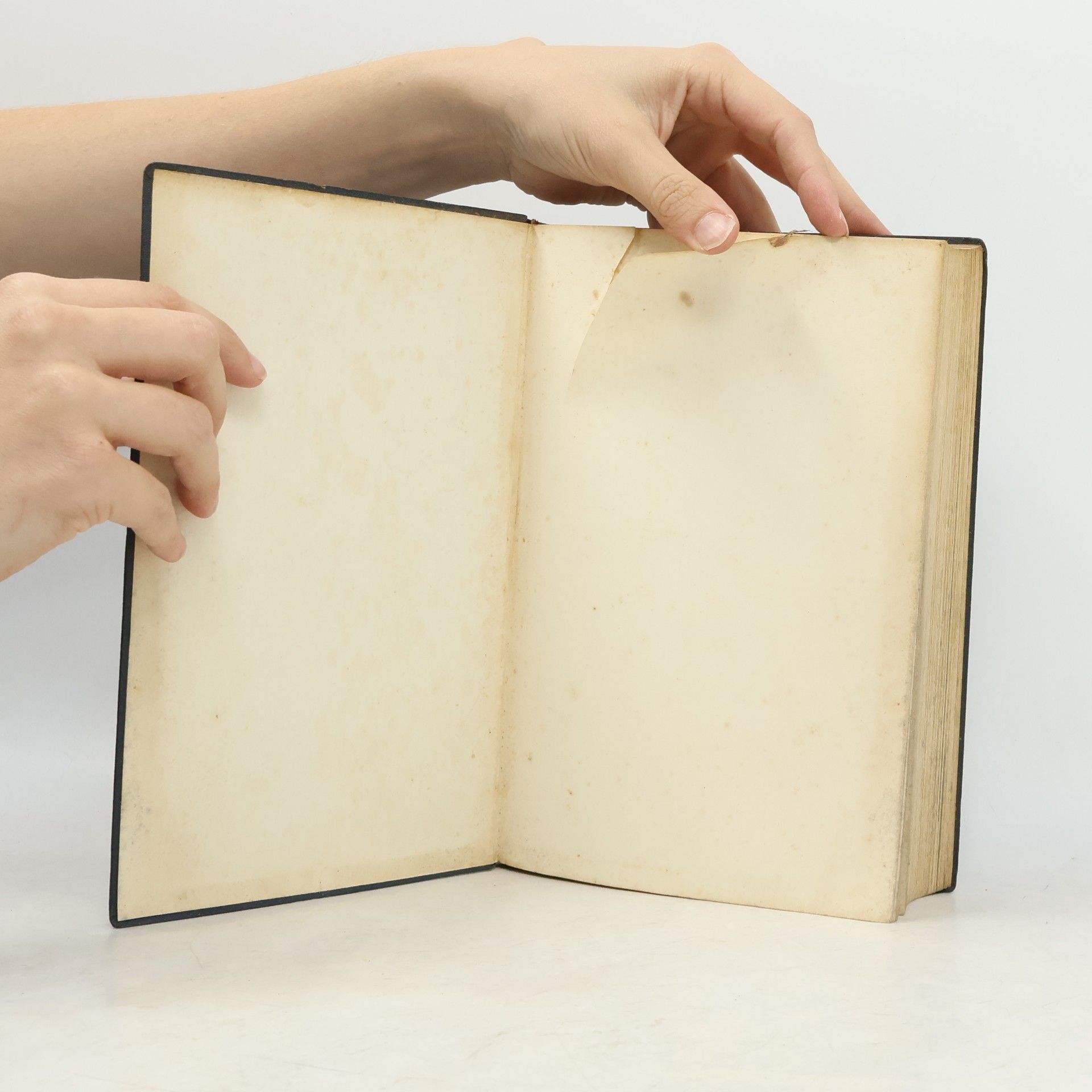 kolektiv Vorarlberger Jungbürgerbuch