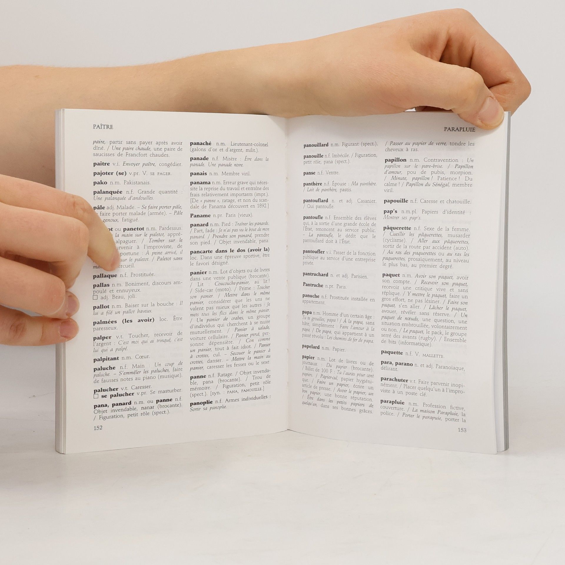 Various Dictionnaire du français argotique et populaire