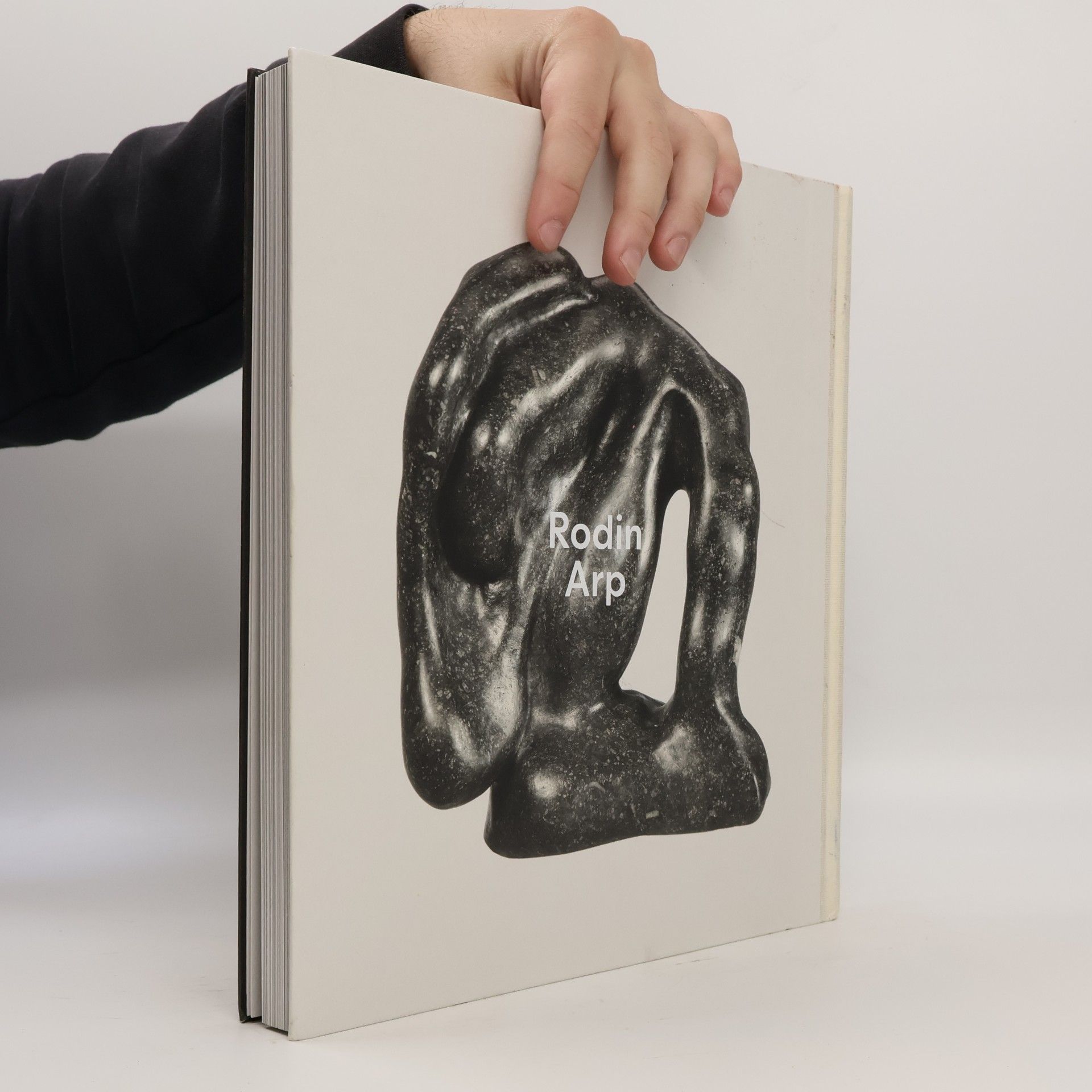 Autorenkollektiv Rodin / Arp