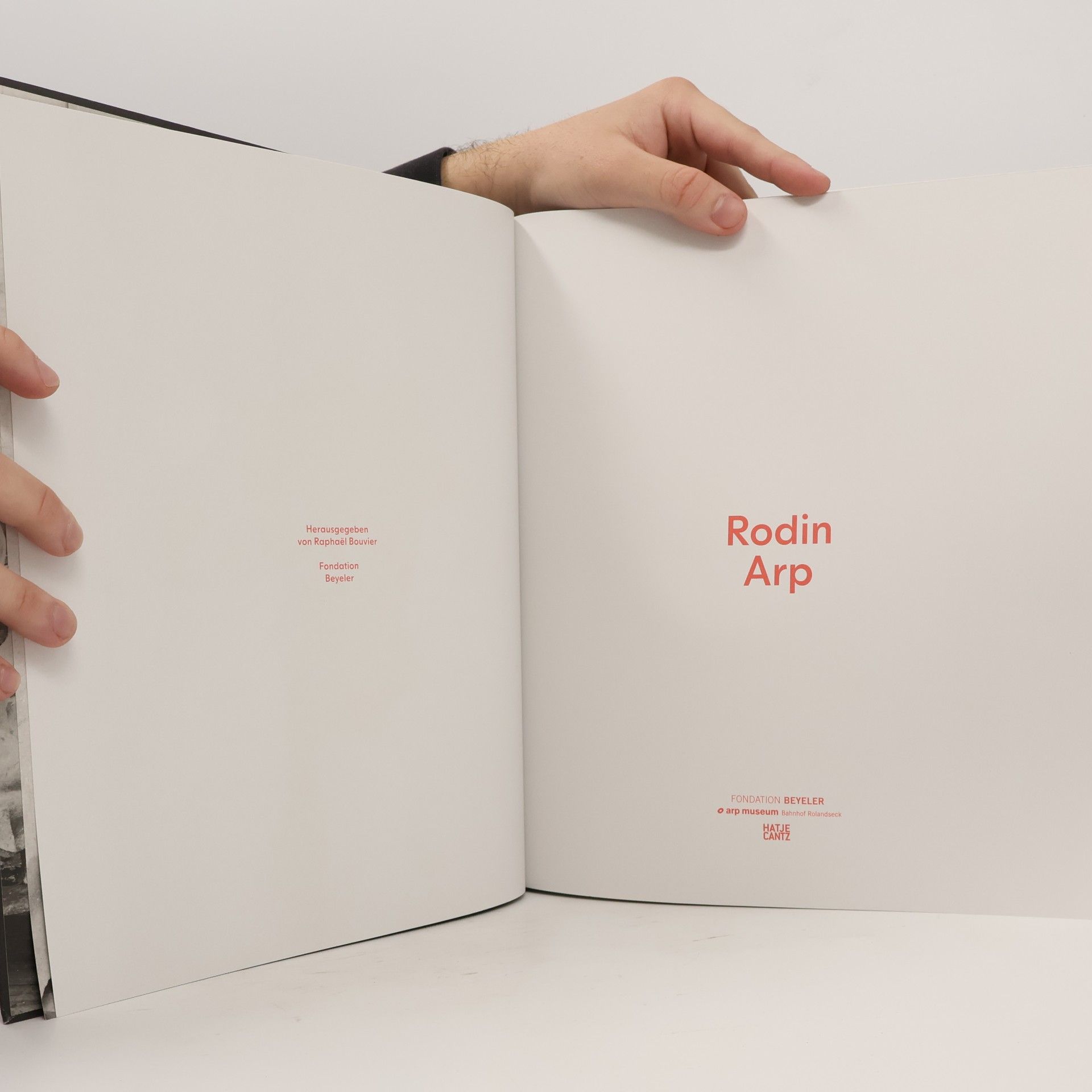 Autorenkollektiv Rodin / Arp