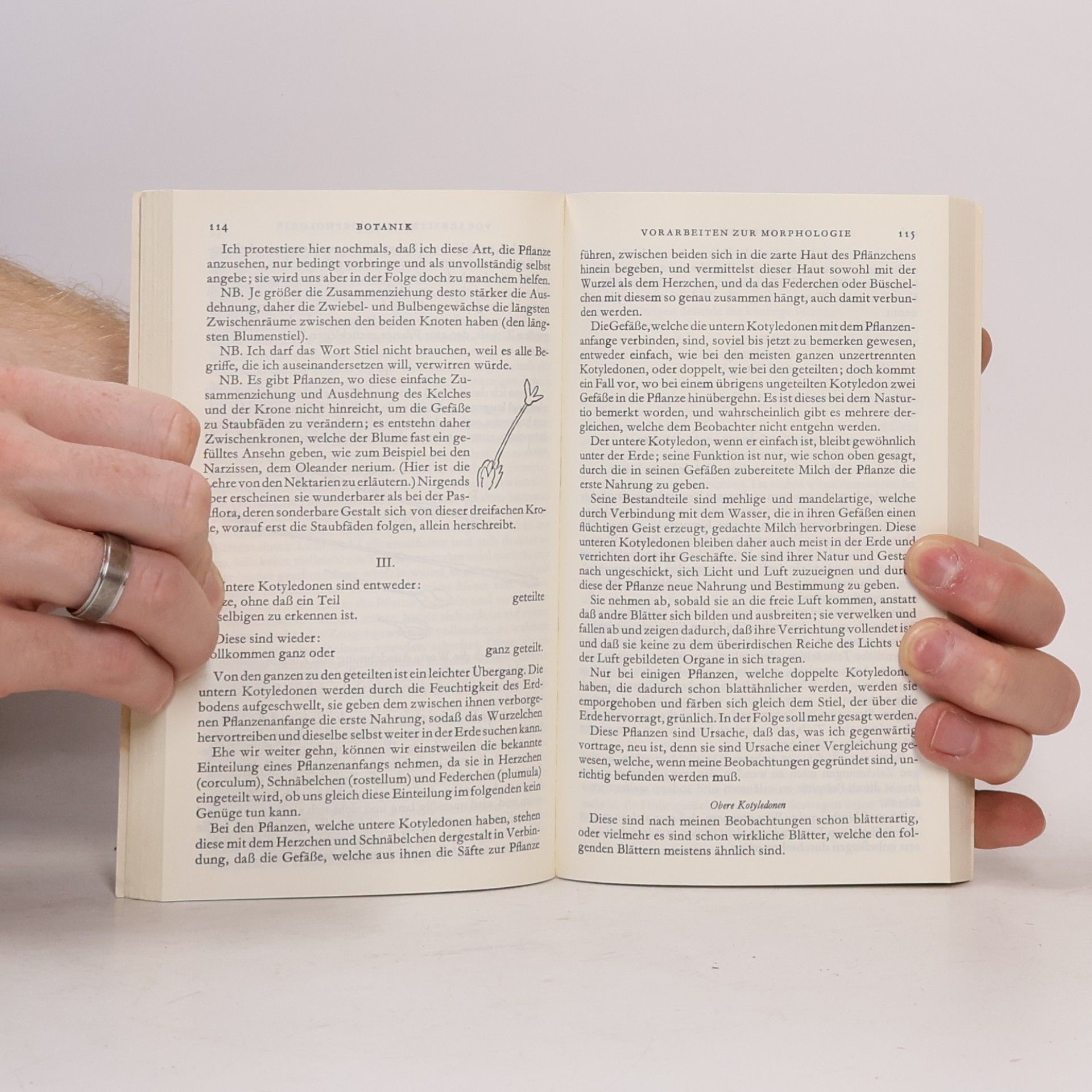 Johann Wolfgang von Goethe Schriften zur Botanik und Wissenschaftslehre