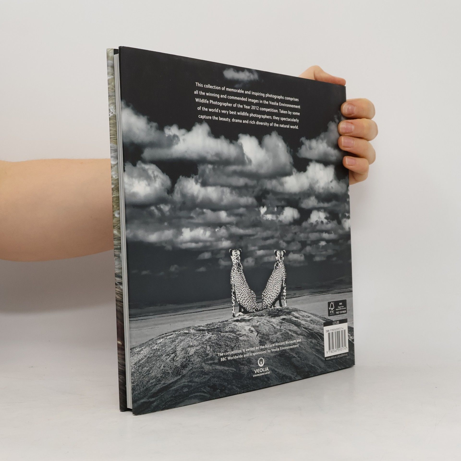 Rosamund Kidman Cox Wildlife Photographer of the Year, Portfolio 22