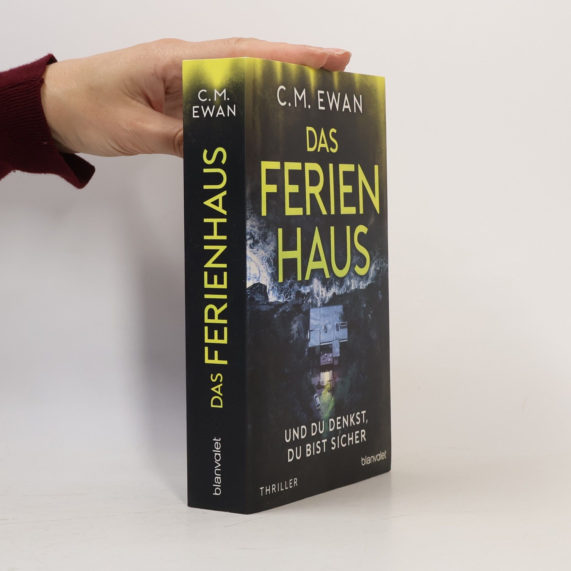 Das Ferienhaus. Und du denkst, du bist sicher