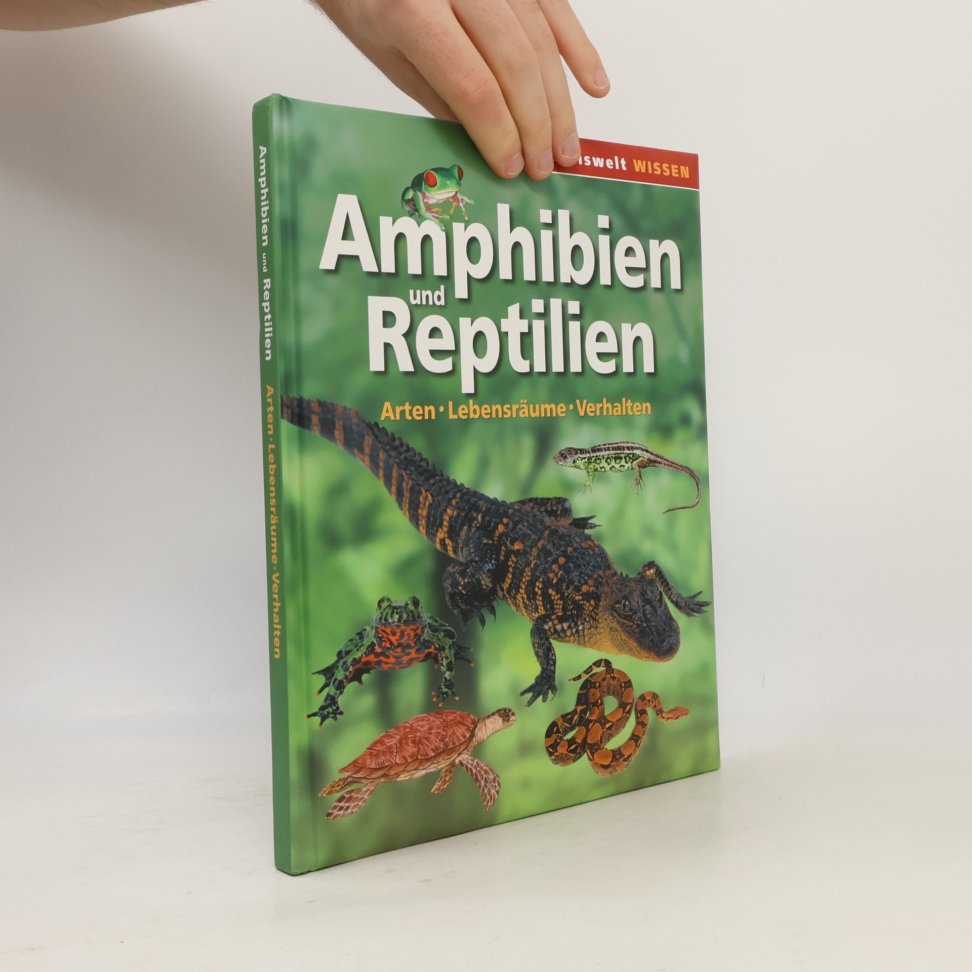 Autorenkollektiv Amphibien und Reptilien
