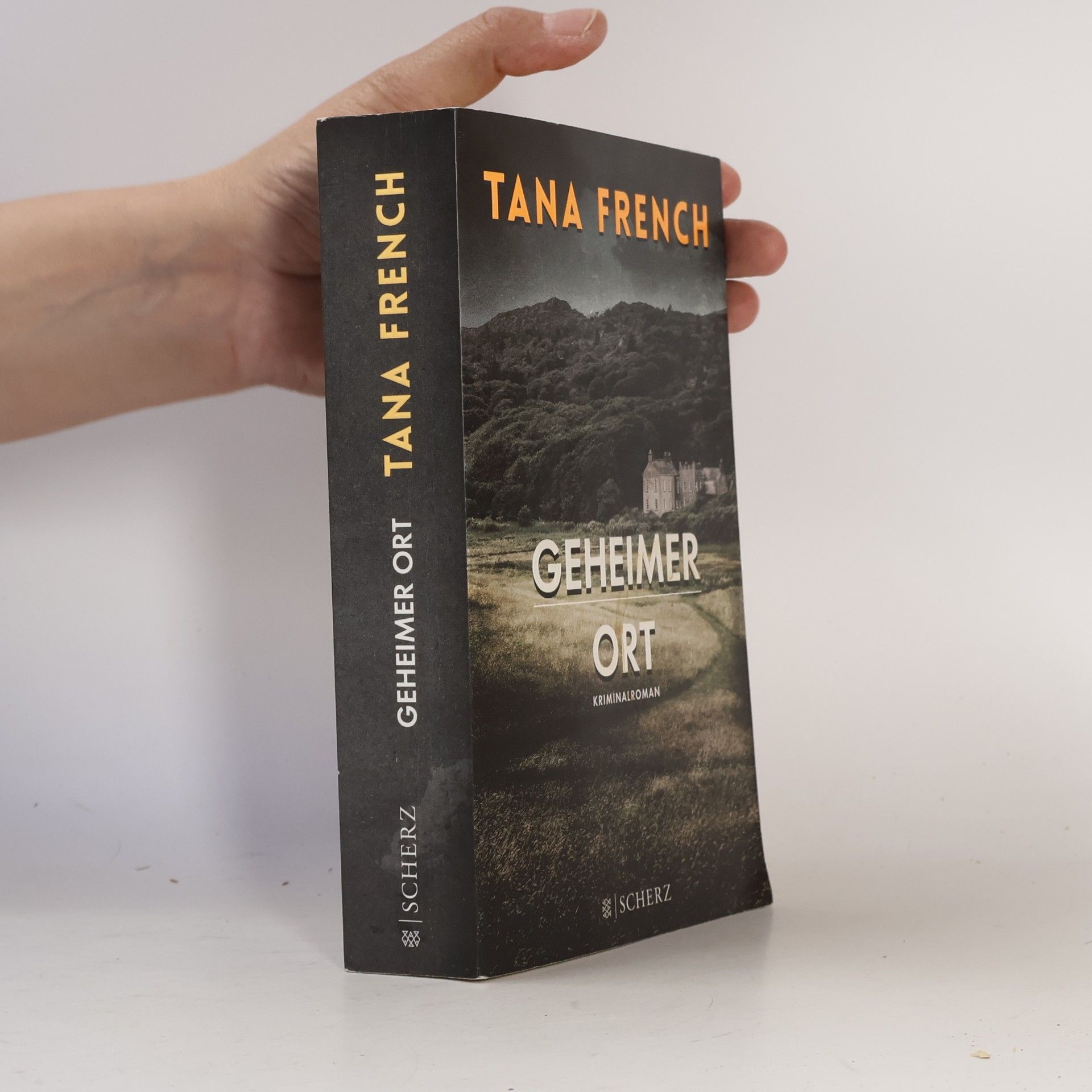Tana French Geheimer Ort