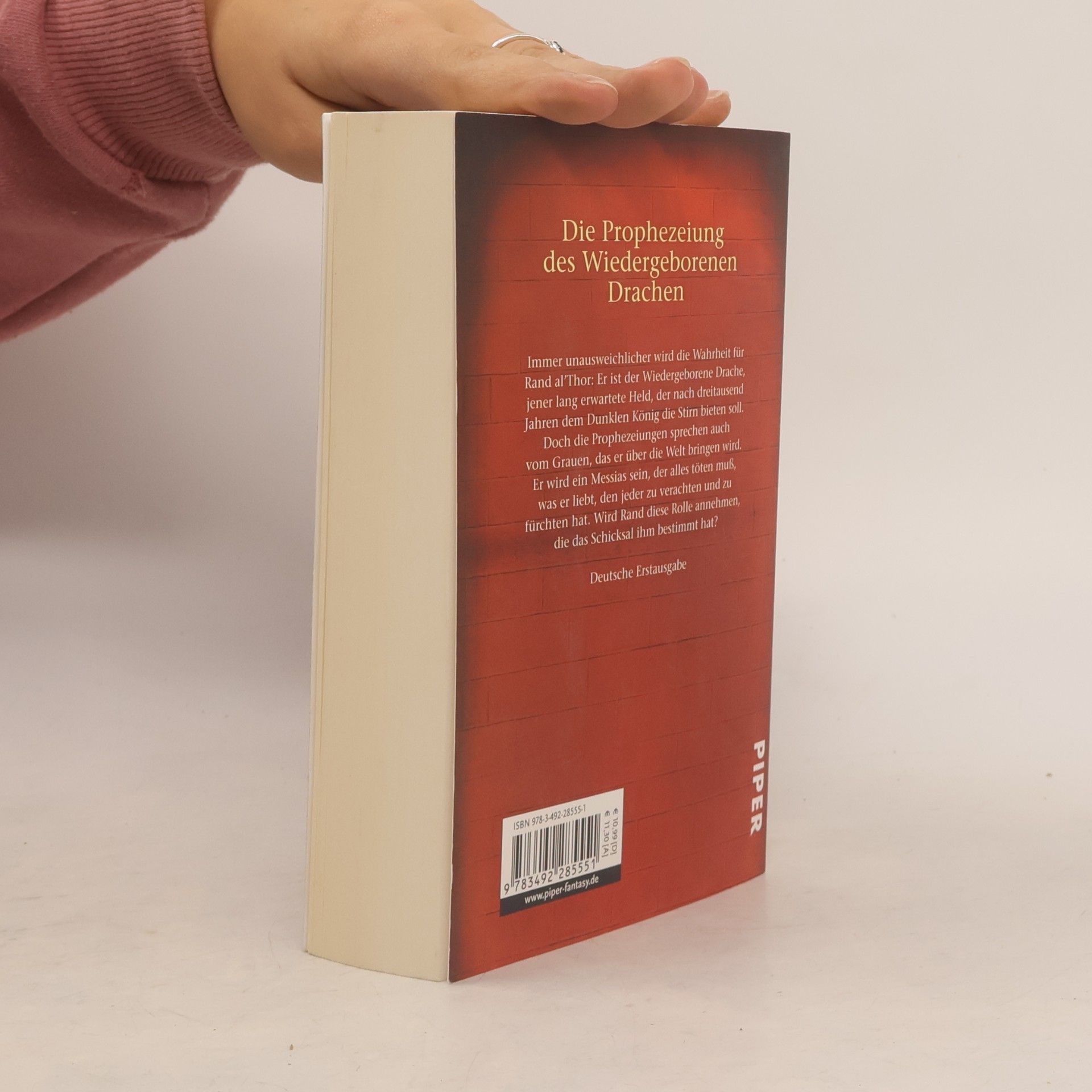 Robert Jordan Der Wiedergeborene Drache