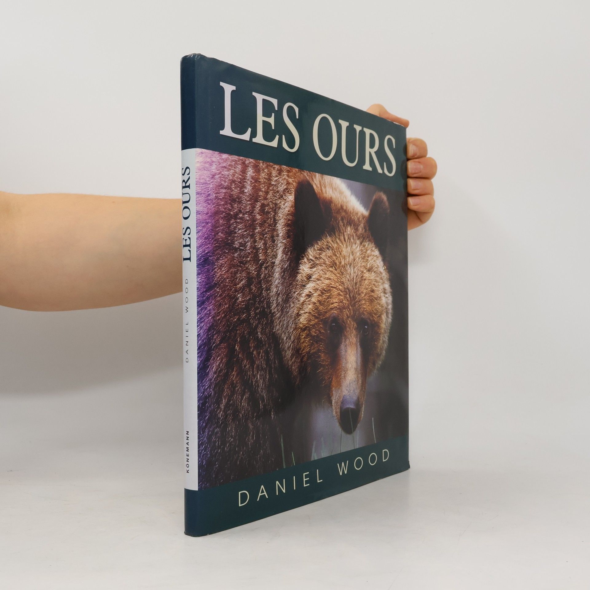 Wood, Daniel Les Ours