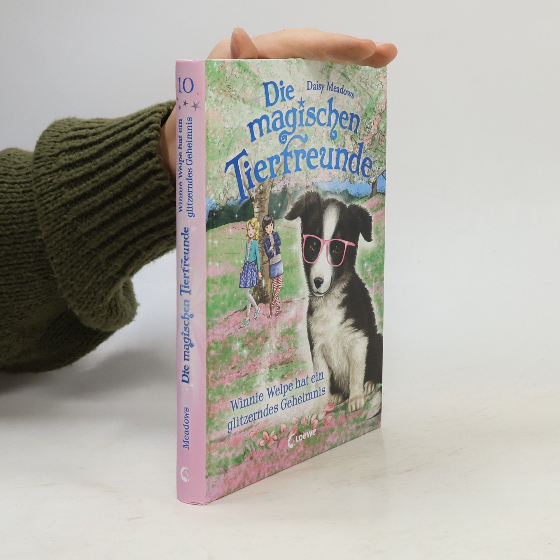 Daisy Meadows Winnie Welpe hat ein glitzerndes Geheimnis