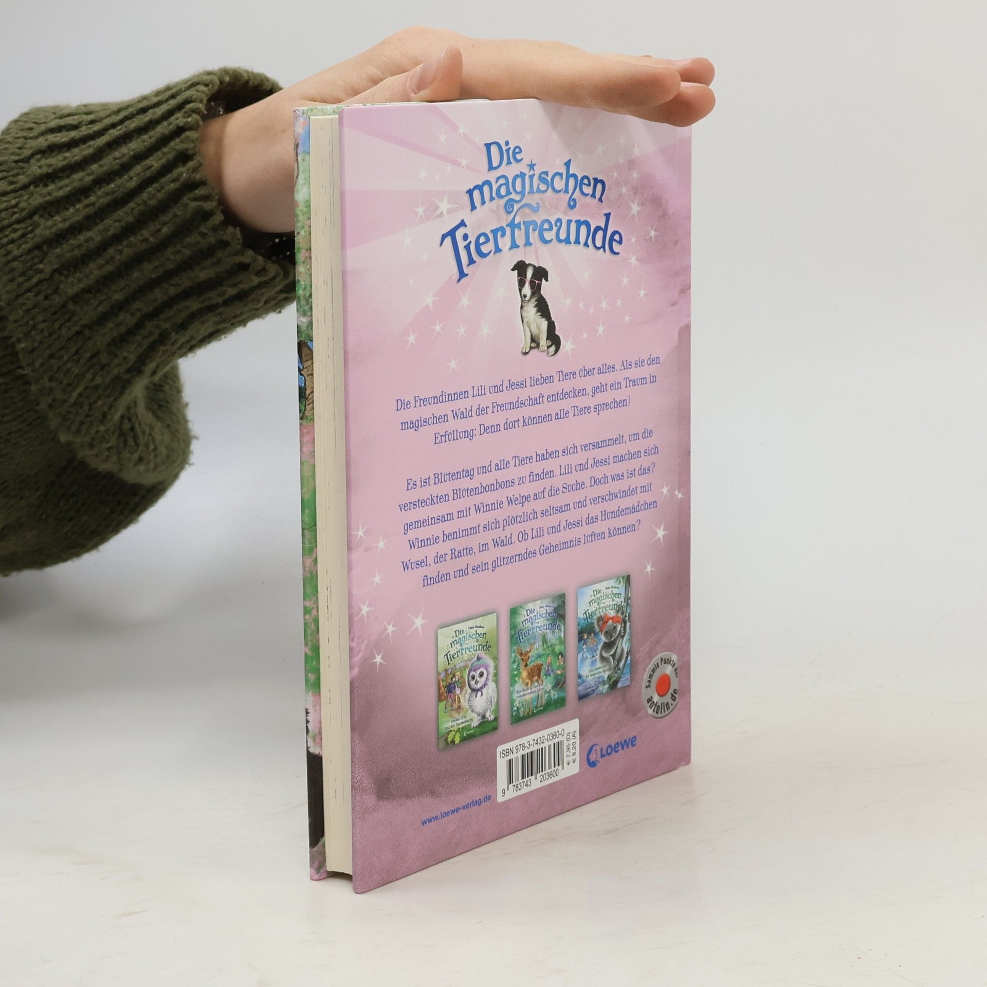 Daisy Meadows Winnie Welpe hat ein glitzerndes Geheimnis