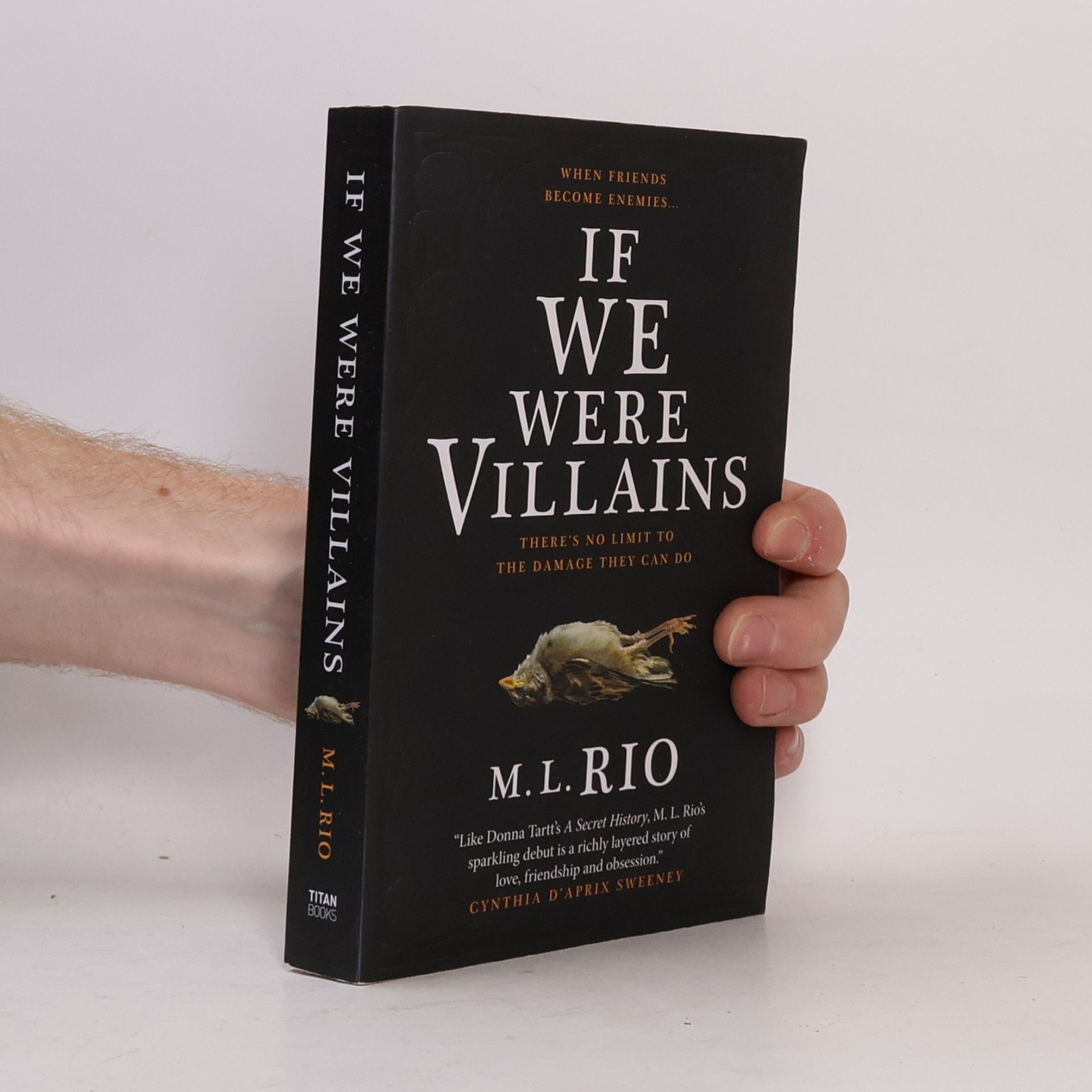 M. L. Rio If We Were Villains