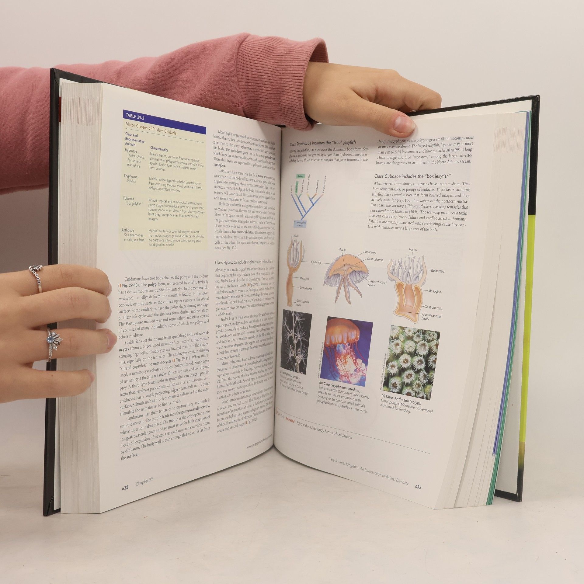 Eldra P. Solomon Biology - 8th Edition