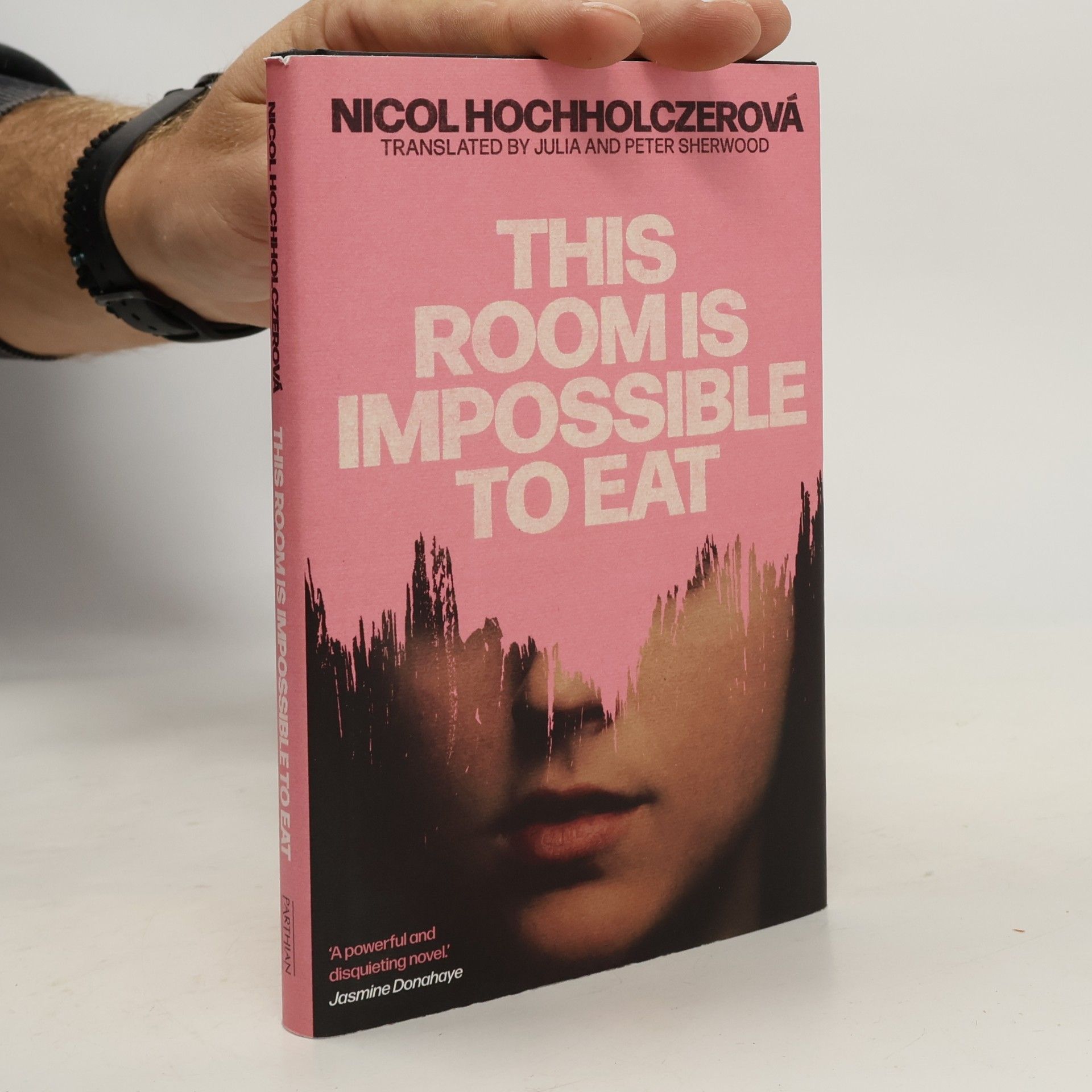 Nicol Hochholczerová This Room Is Impossible to Eat