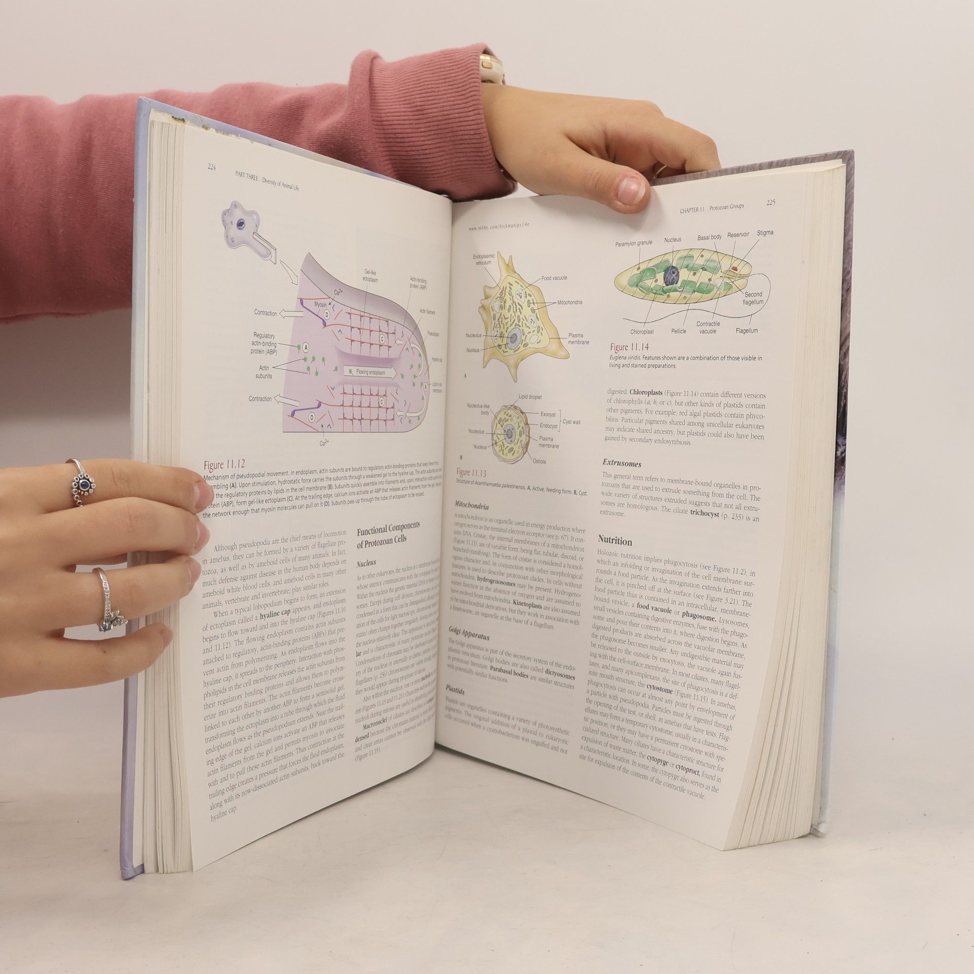Allan L. Larson Integrated Principles of Zoology