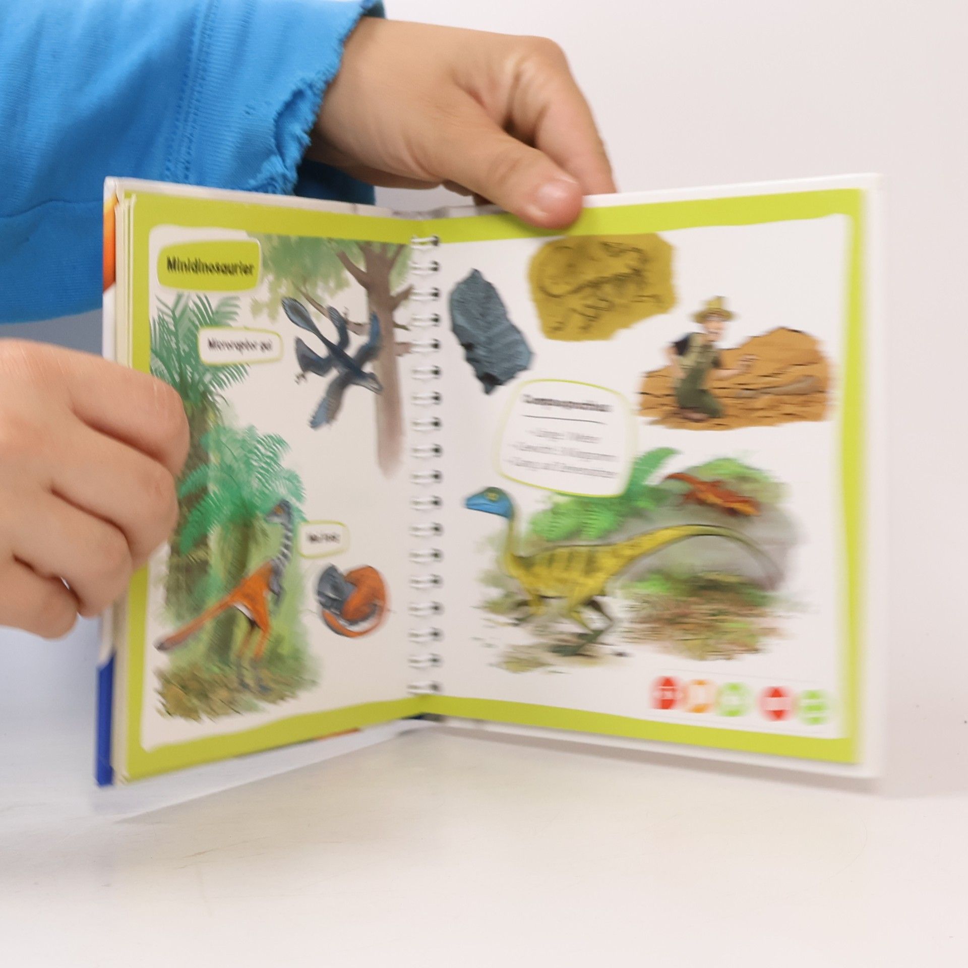 Kolektiv autorů Pocket Wissen. Dinosaurier