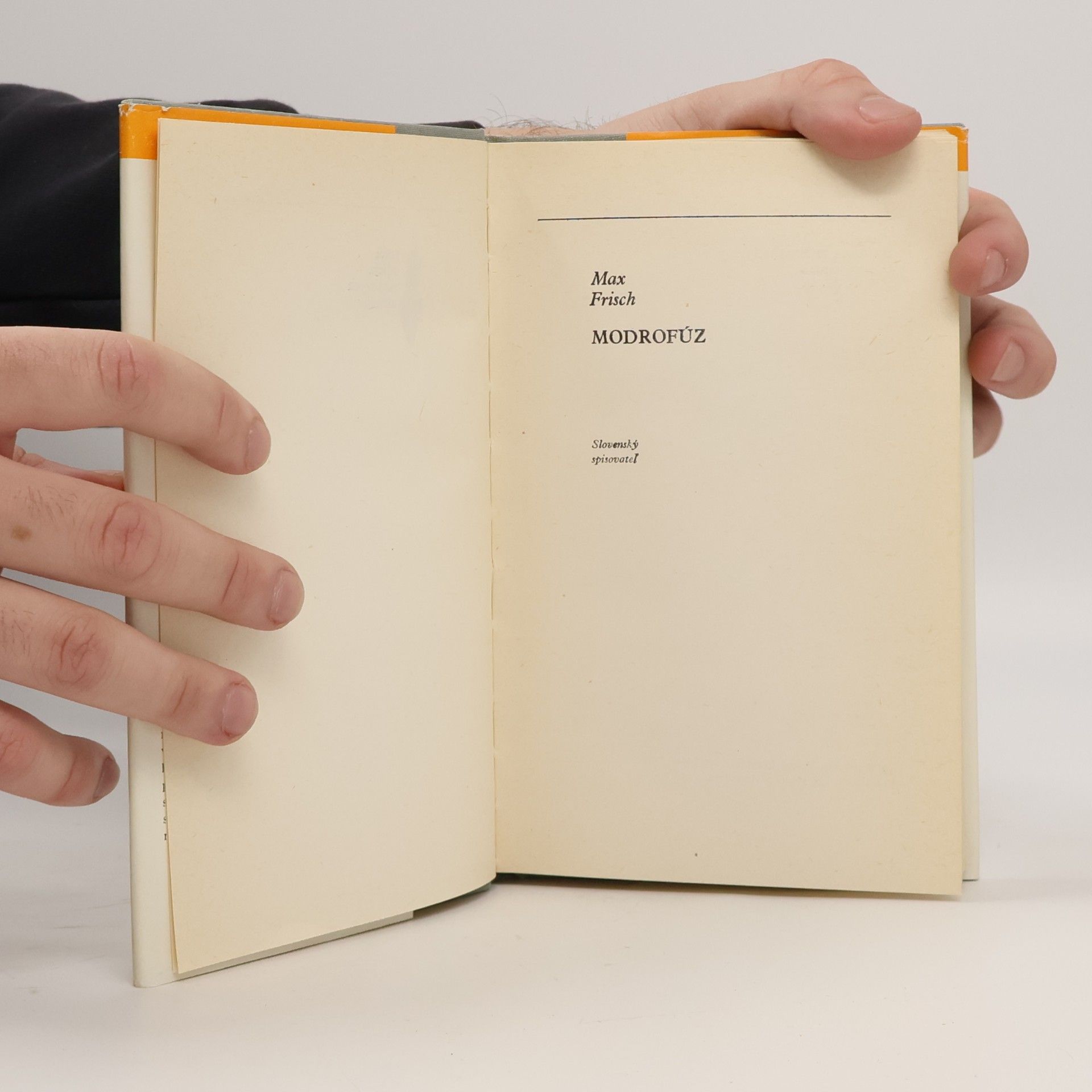 Max Frisch Modrofúz