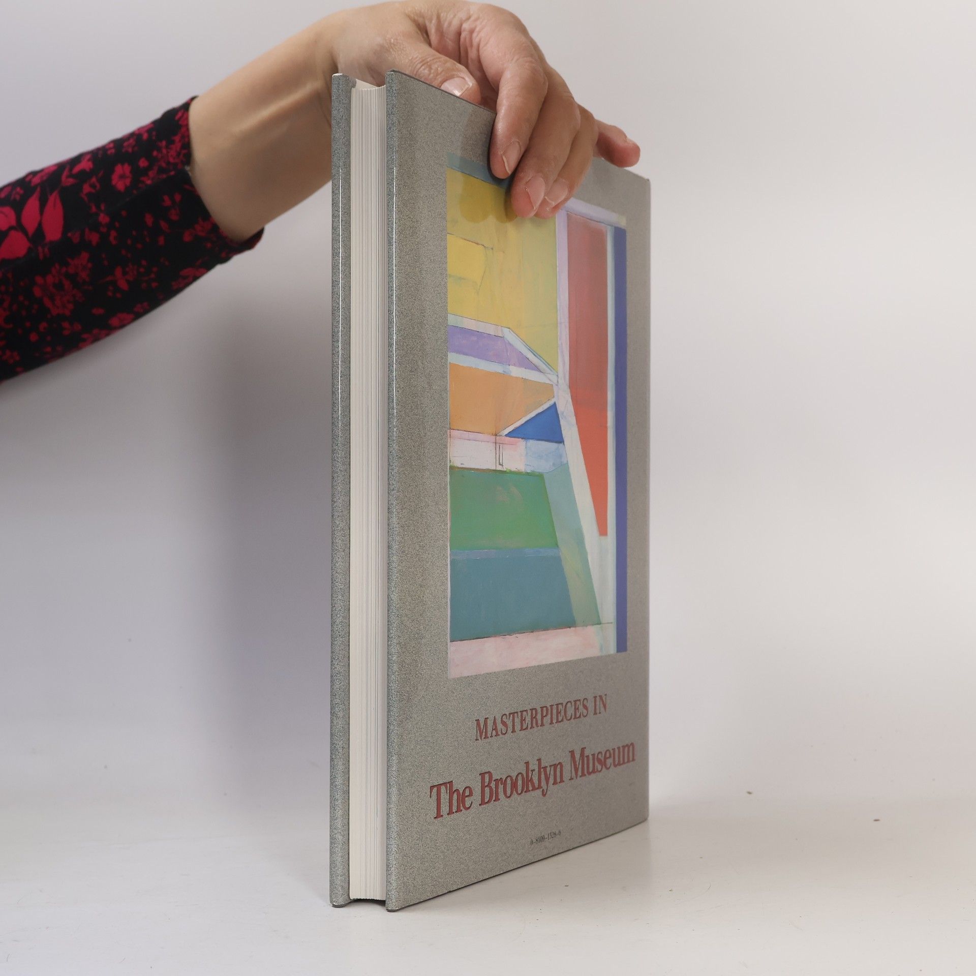 Harry N. Abrams Masterpieces in The Brooklyn Museum